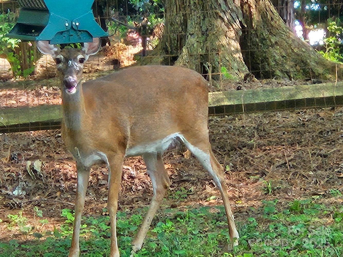 10841 Flat Iron Road