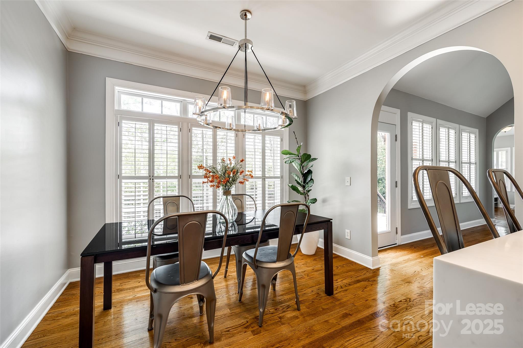 1126 Blowing Rock Cove