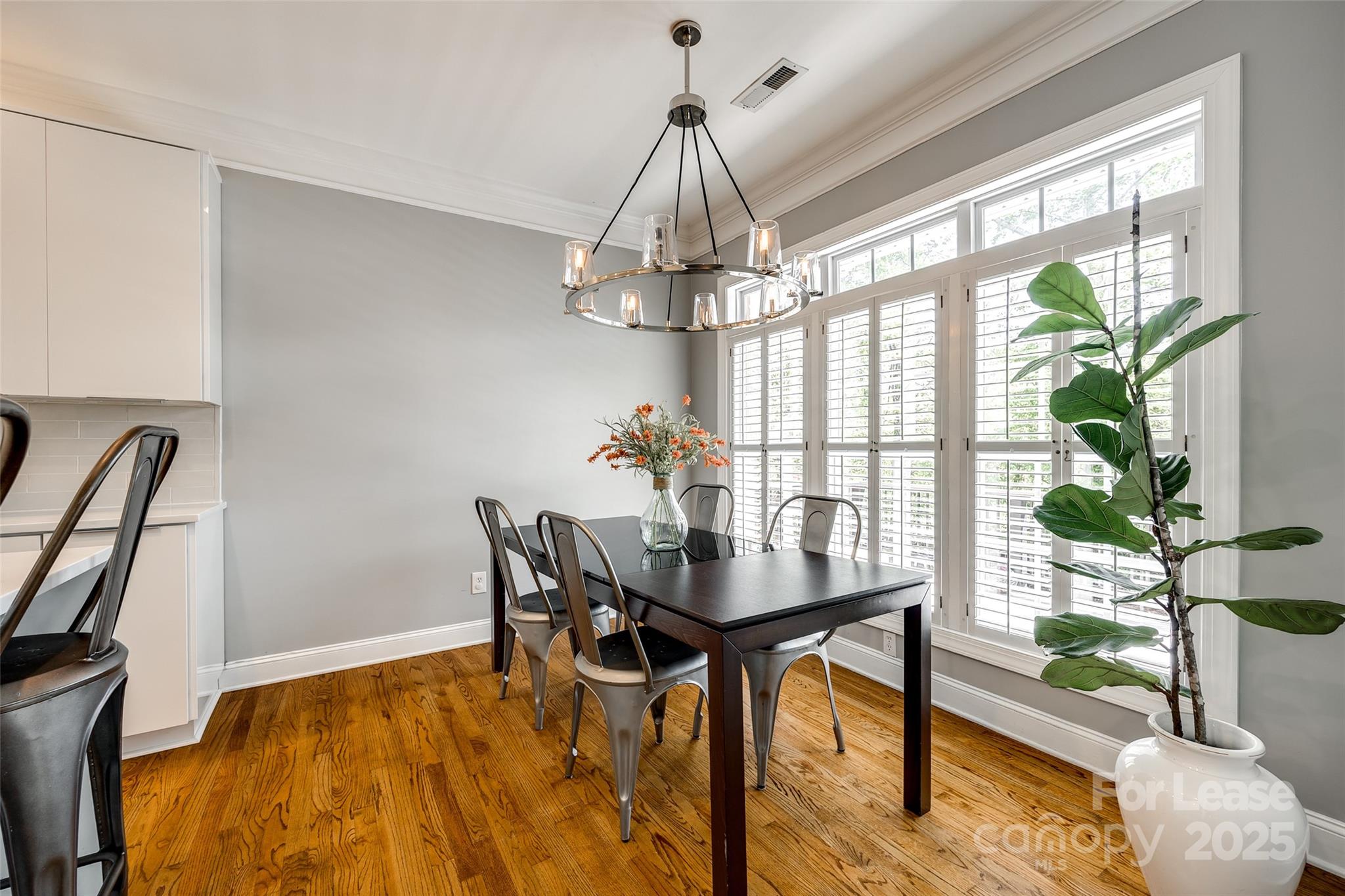 1126 Blowing Rock Cove