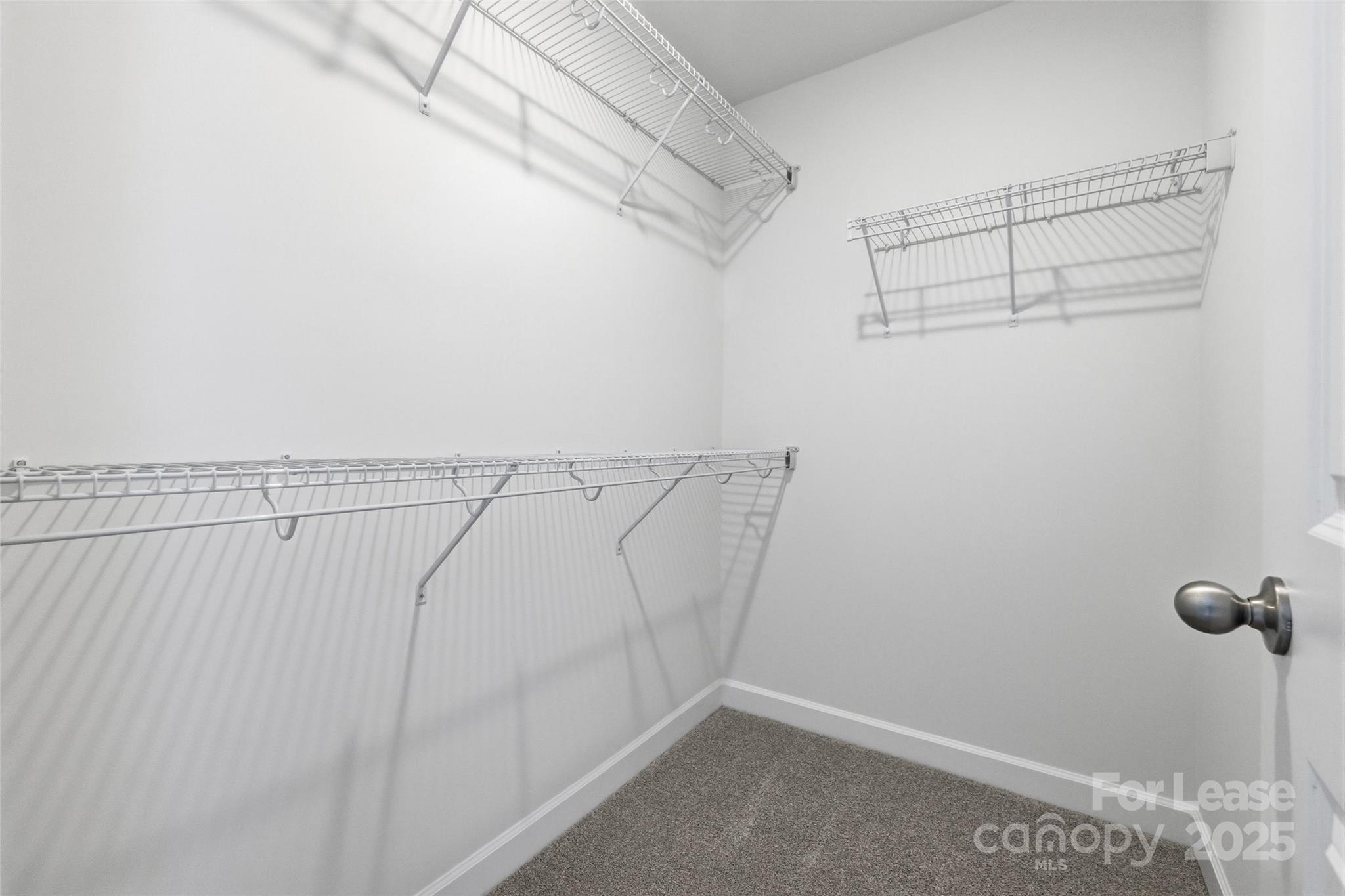 238 Tiger Lily Drive