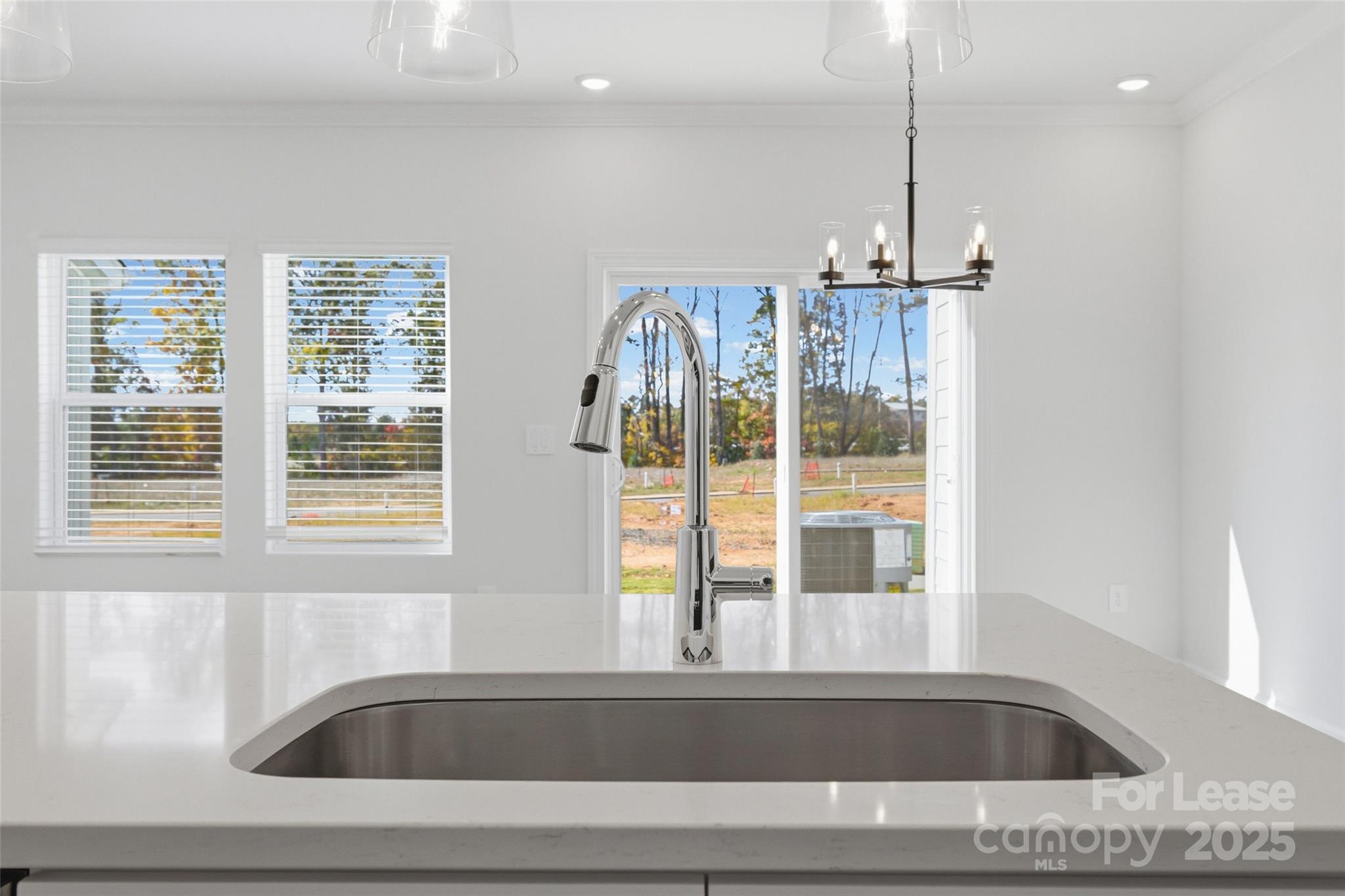 238 Tiger Lily Drive