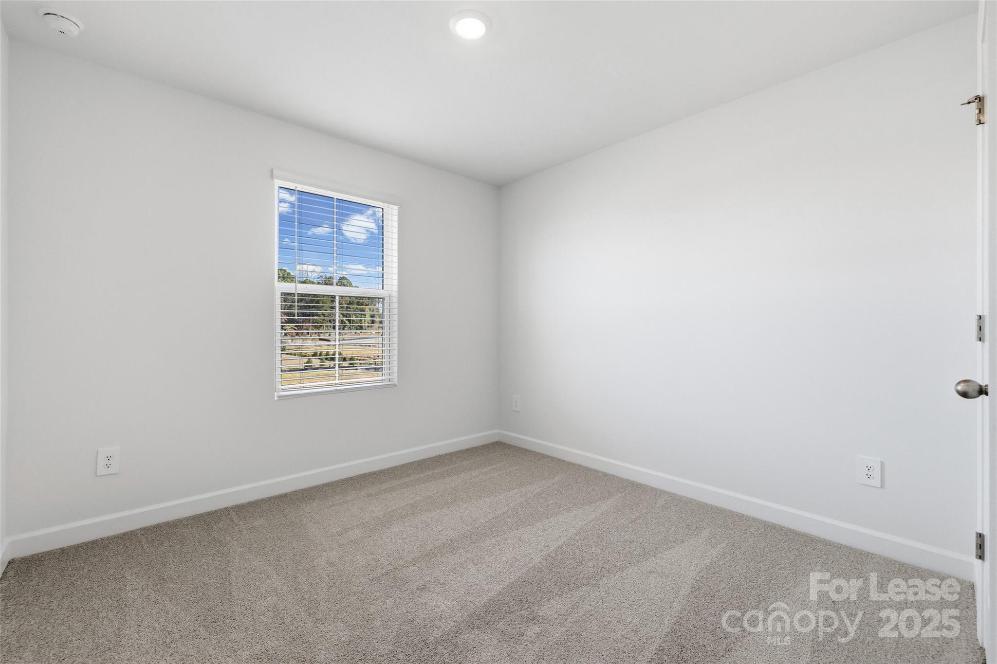 238 Tiger Lily Drive