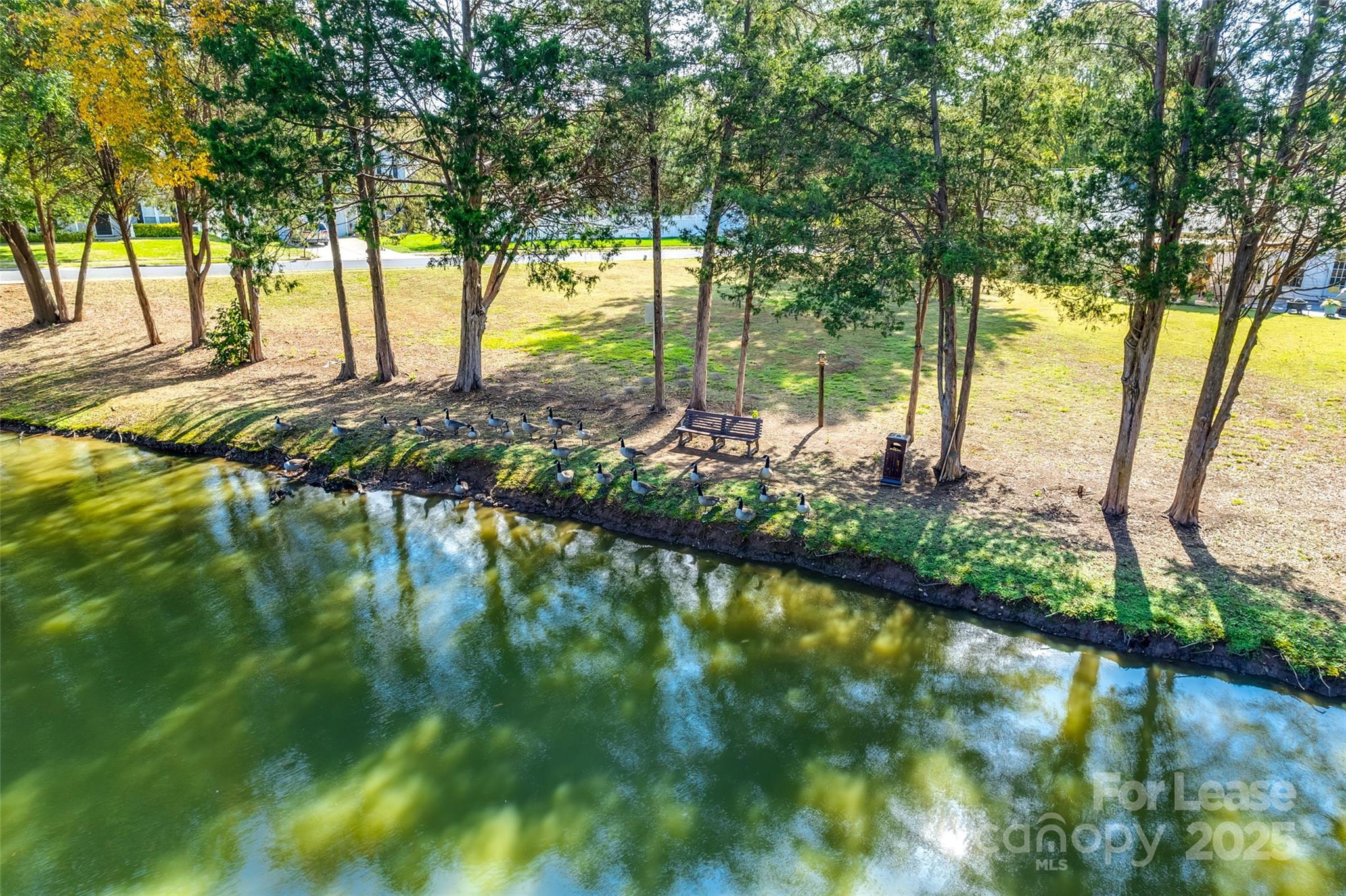 14336 Williams Glenn Road