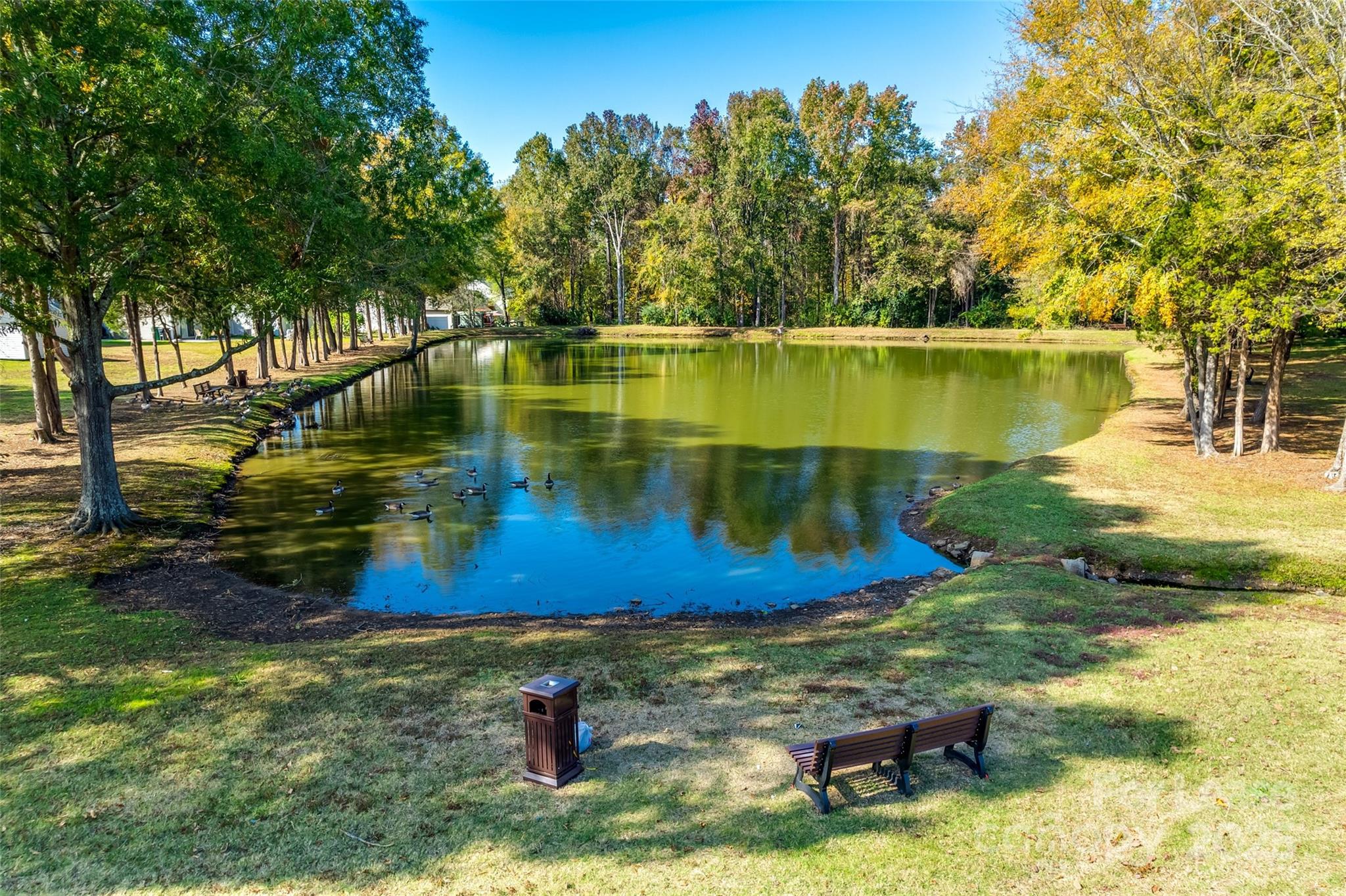 14336 Williams Glenn Road