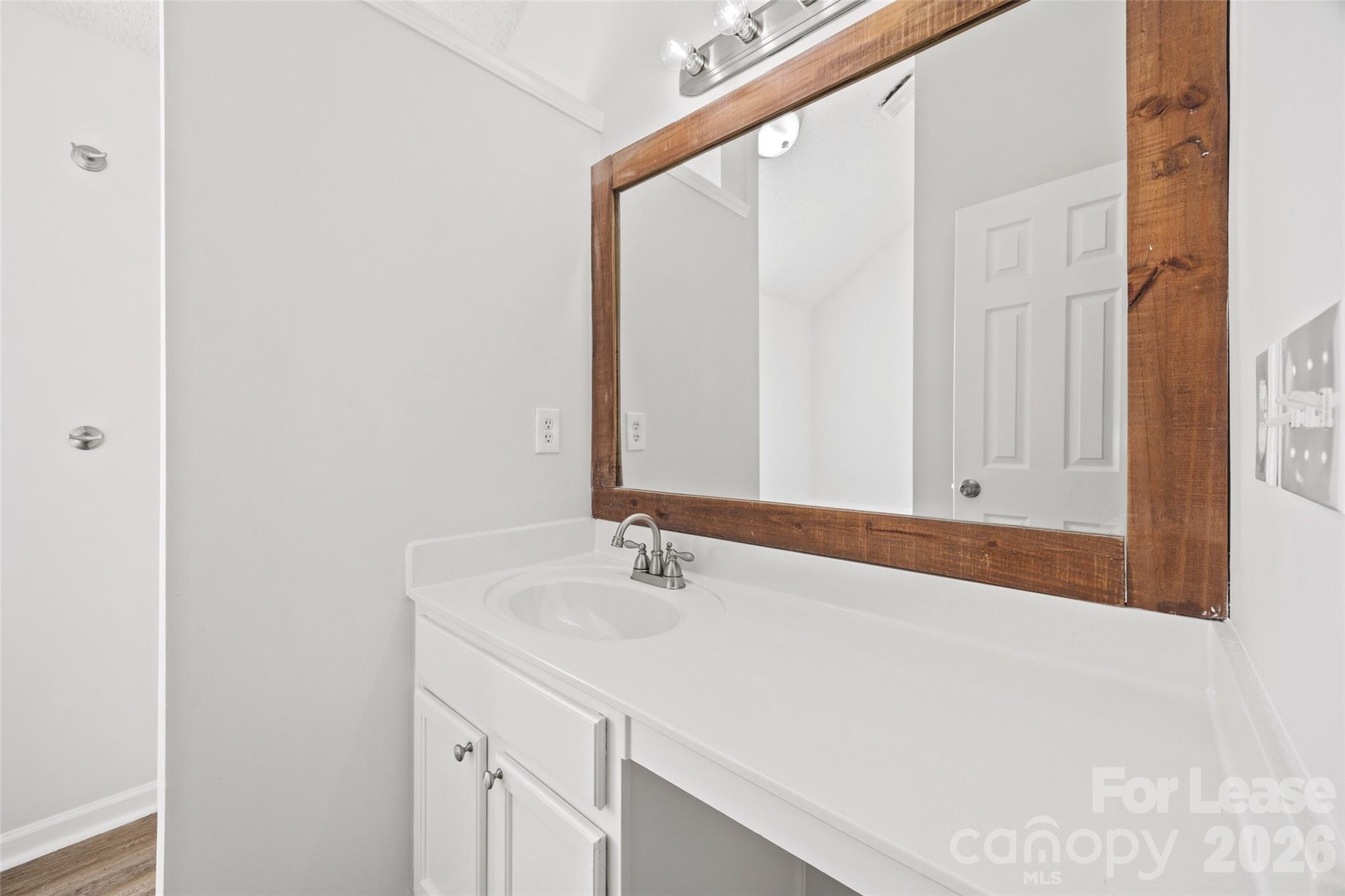 1411 Swaying Branch Lane