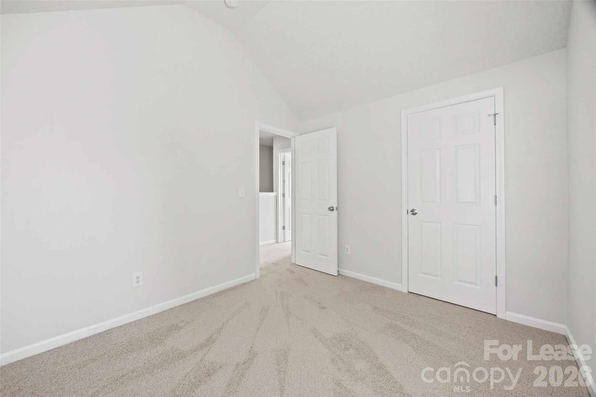 1411 Swaying Branch Lane