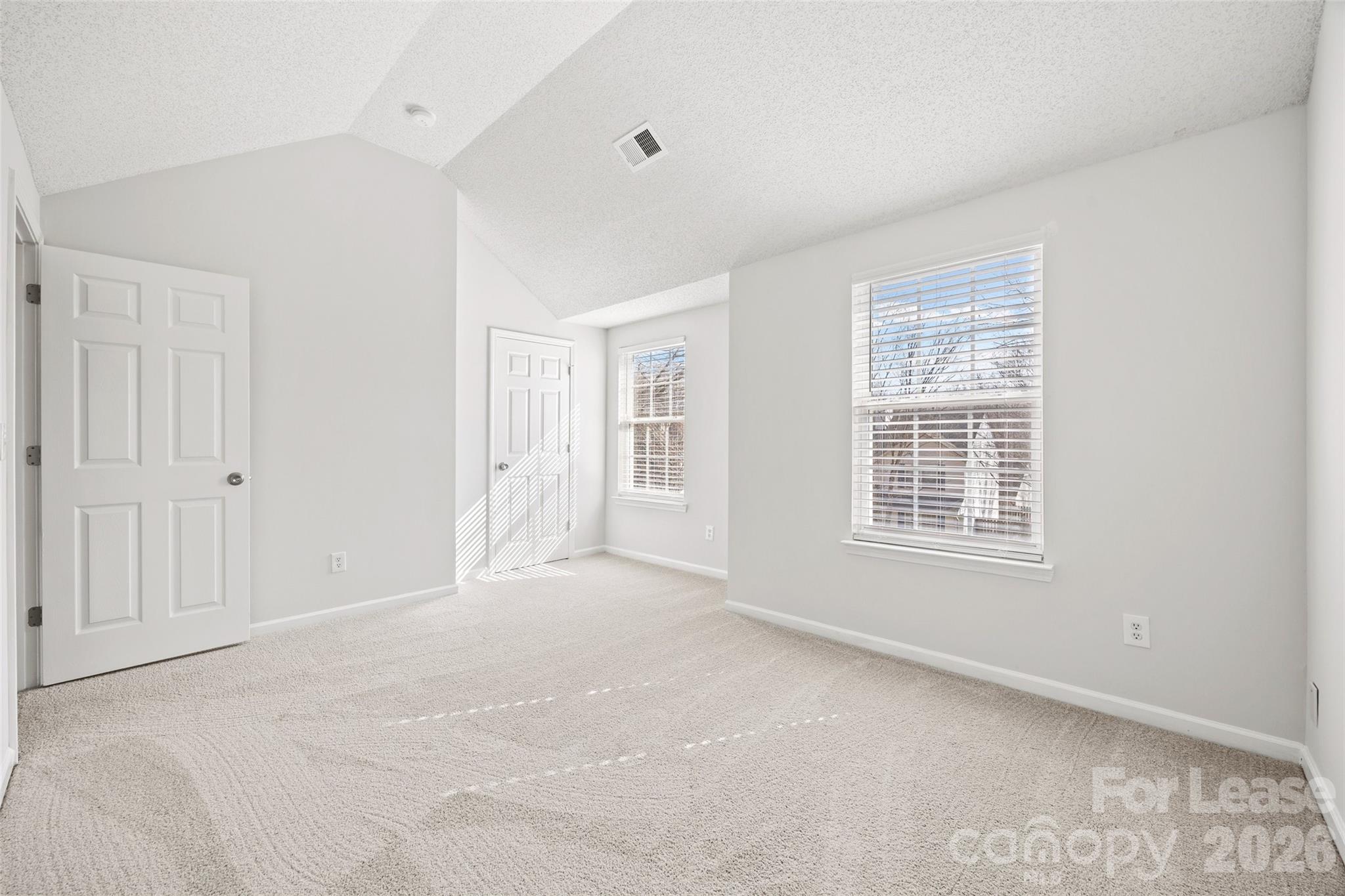 1411 Swaying Branch Lane