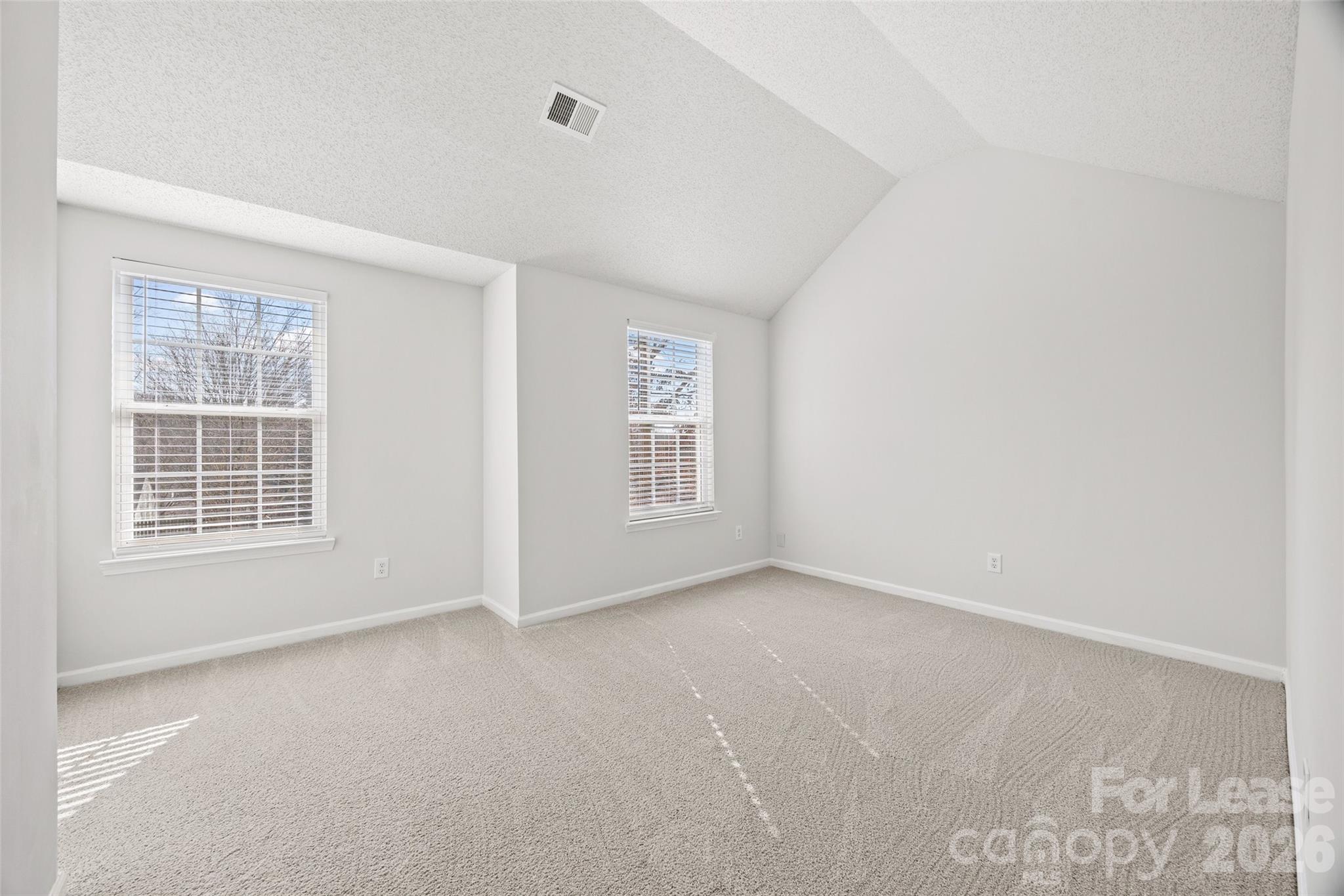 1411 Swaying Branch Lane