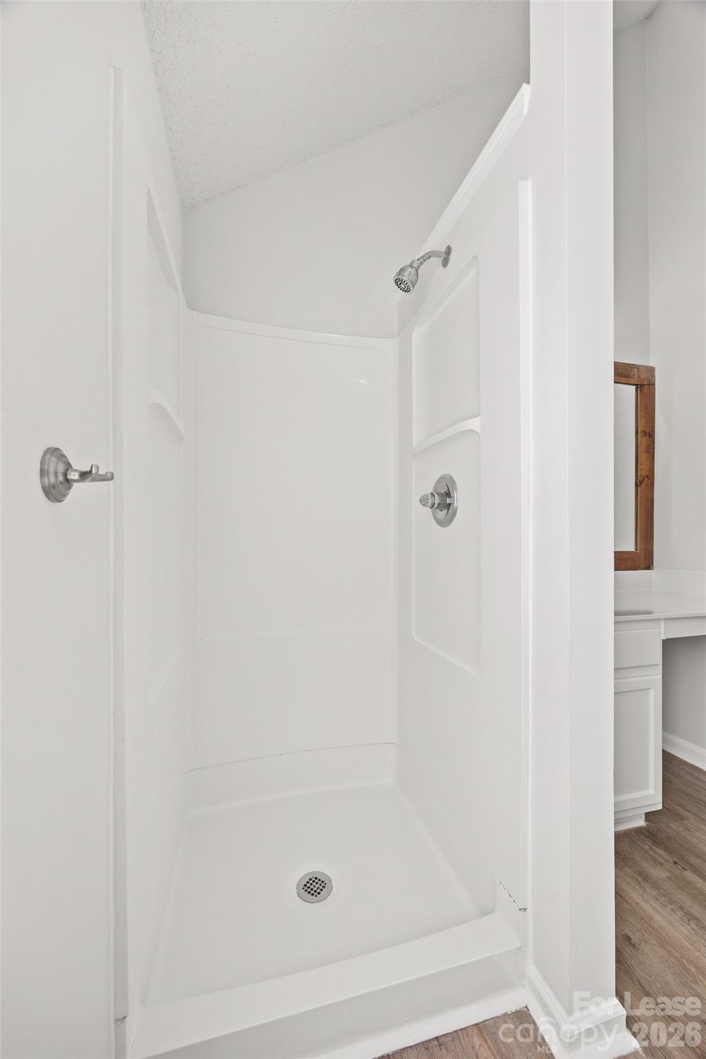 1411 Swaying Branch Lane