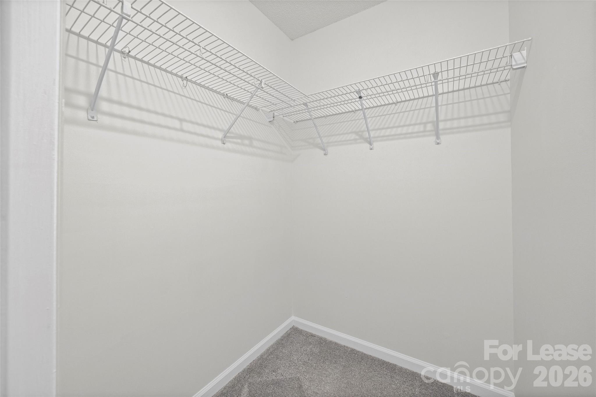 2920 Iron Gate Lane