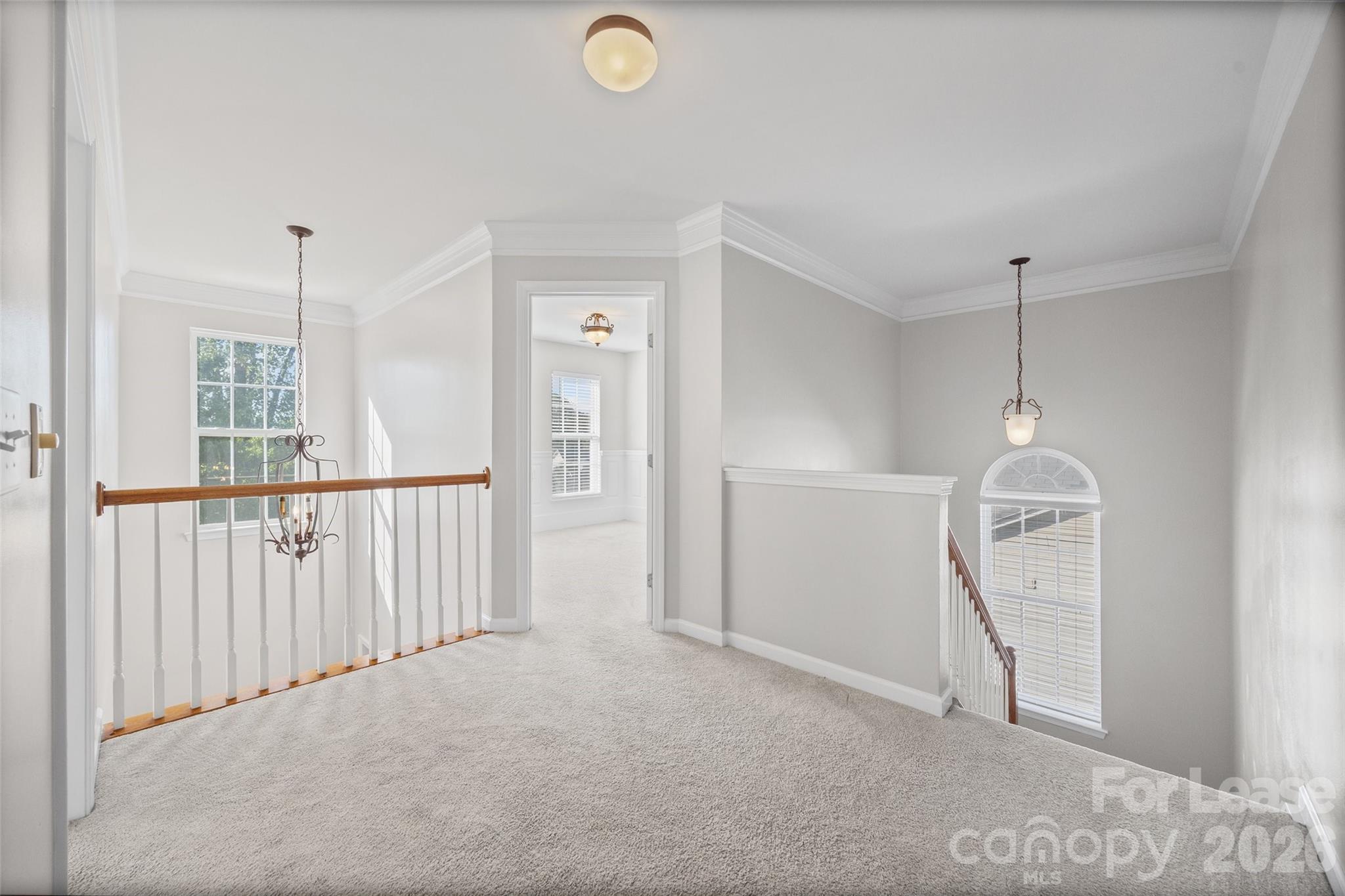 571 Veloce Trail