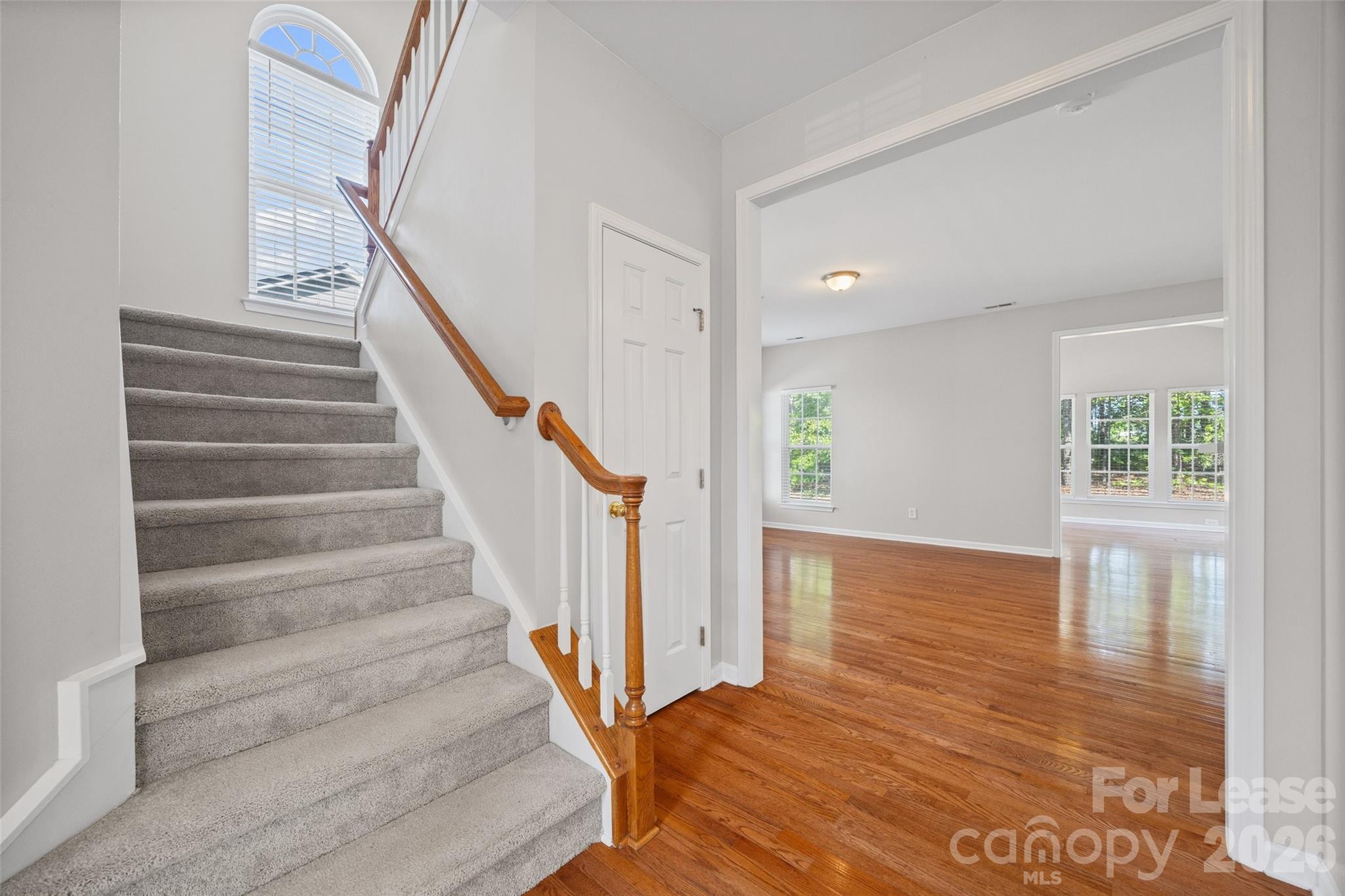 571 Veloce Trail