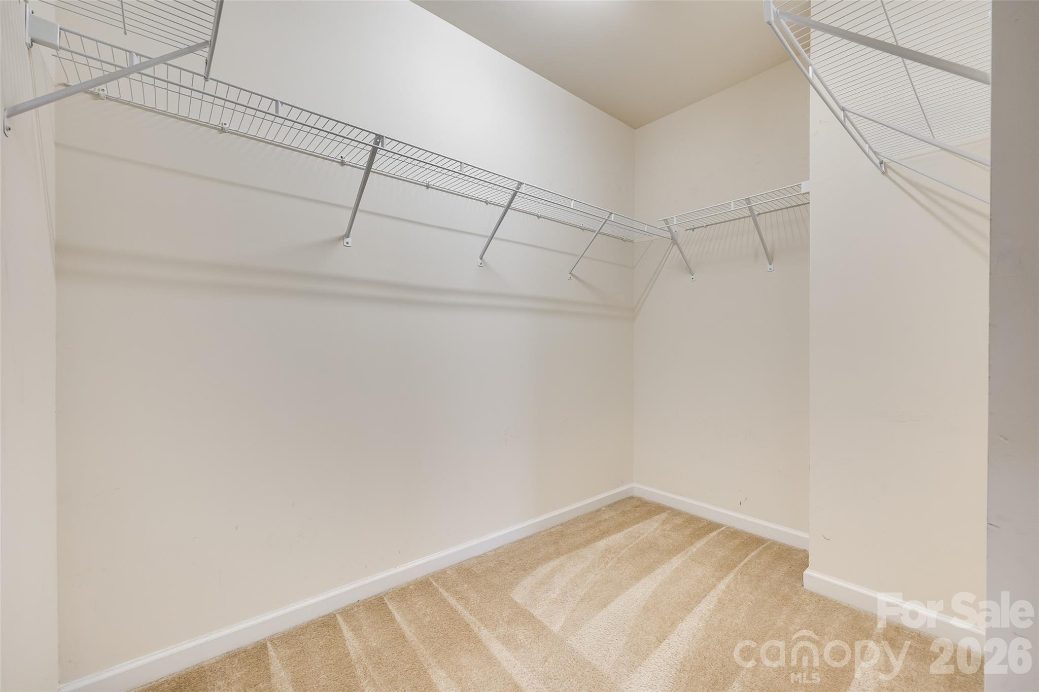 13815 Singleleaf Lane