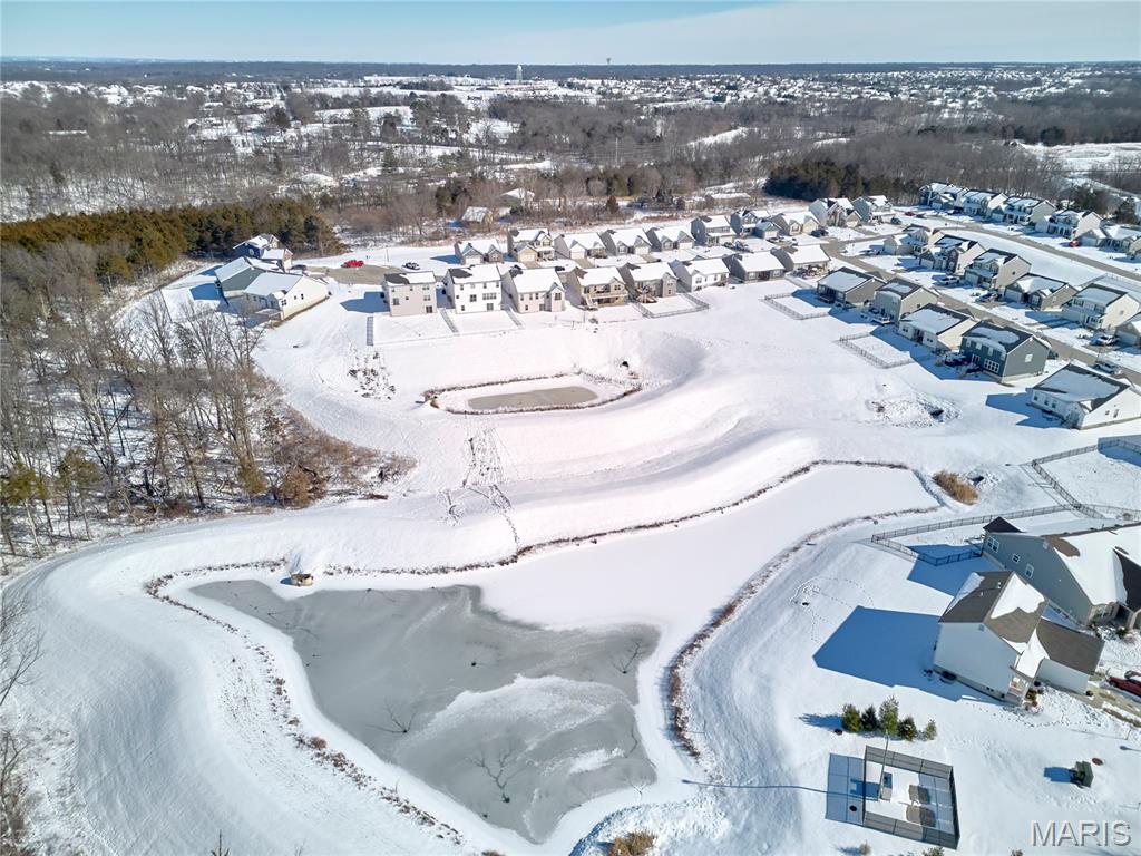 115 Dark Horse Court