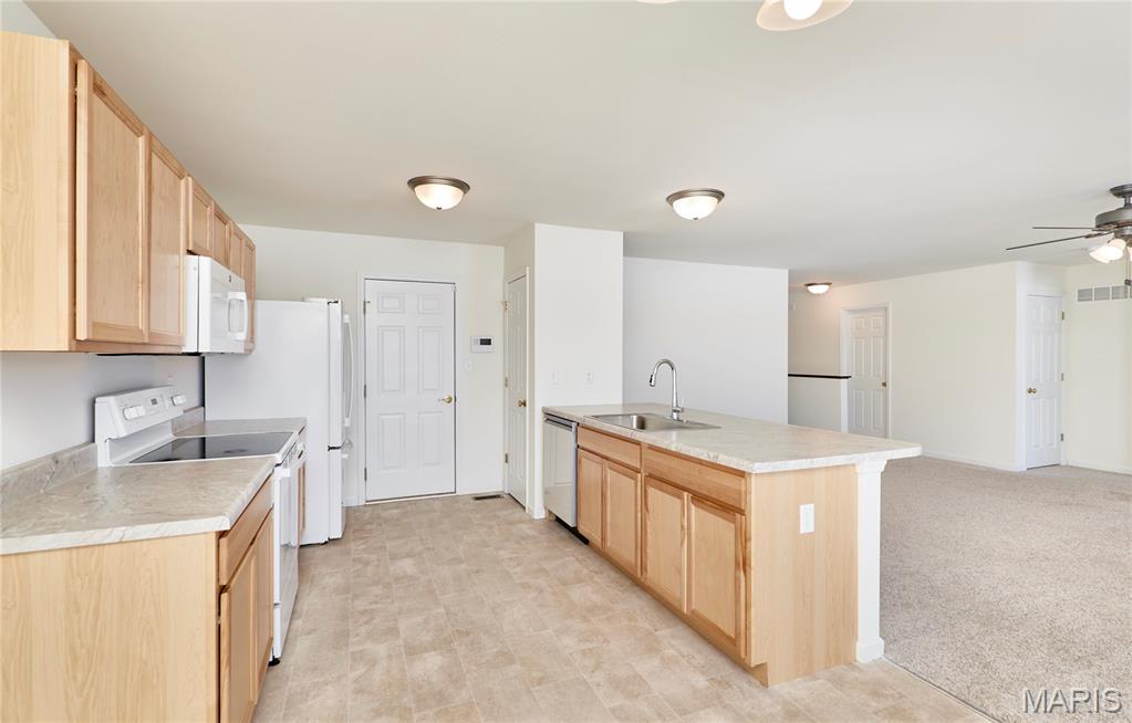 115 Dark Horse Court