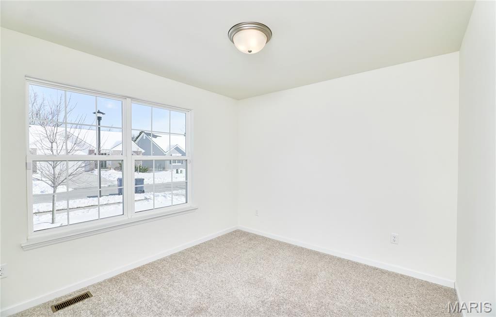 115 Dark Horse Court