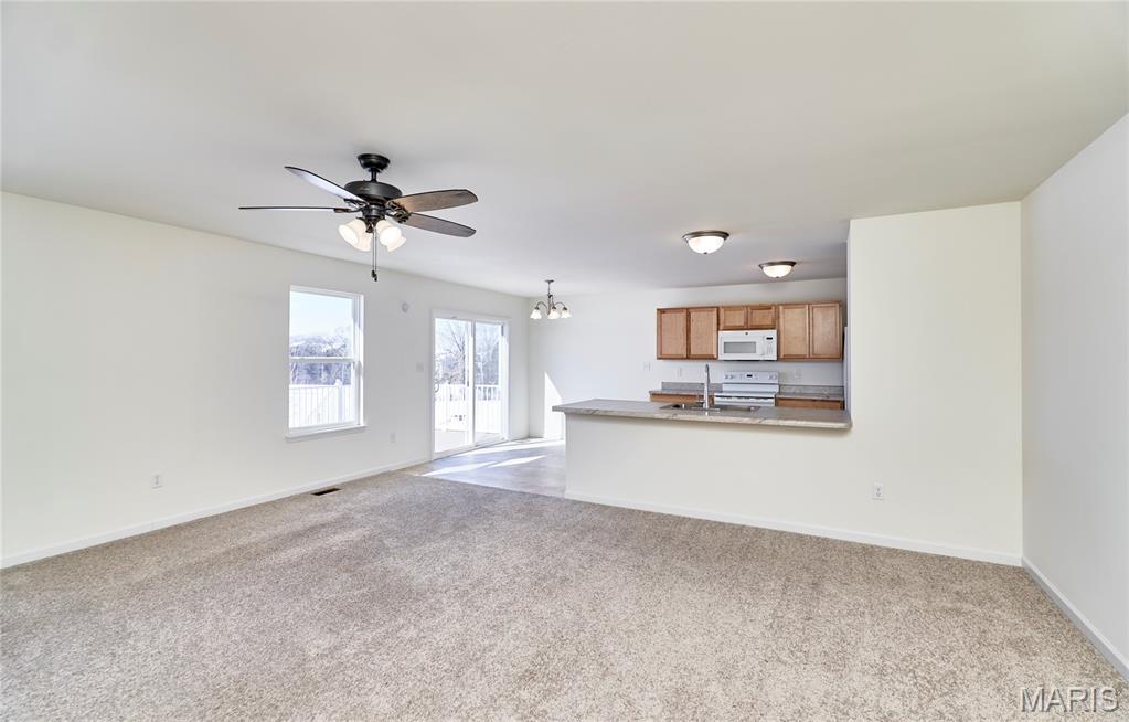 115 Dark Horse Court