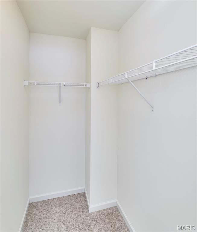 115 Dark Horse Court