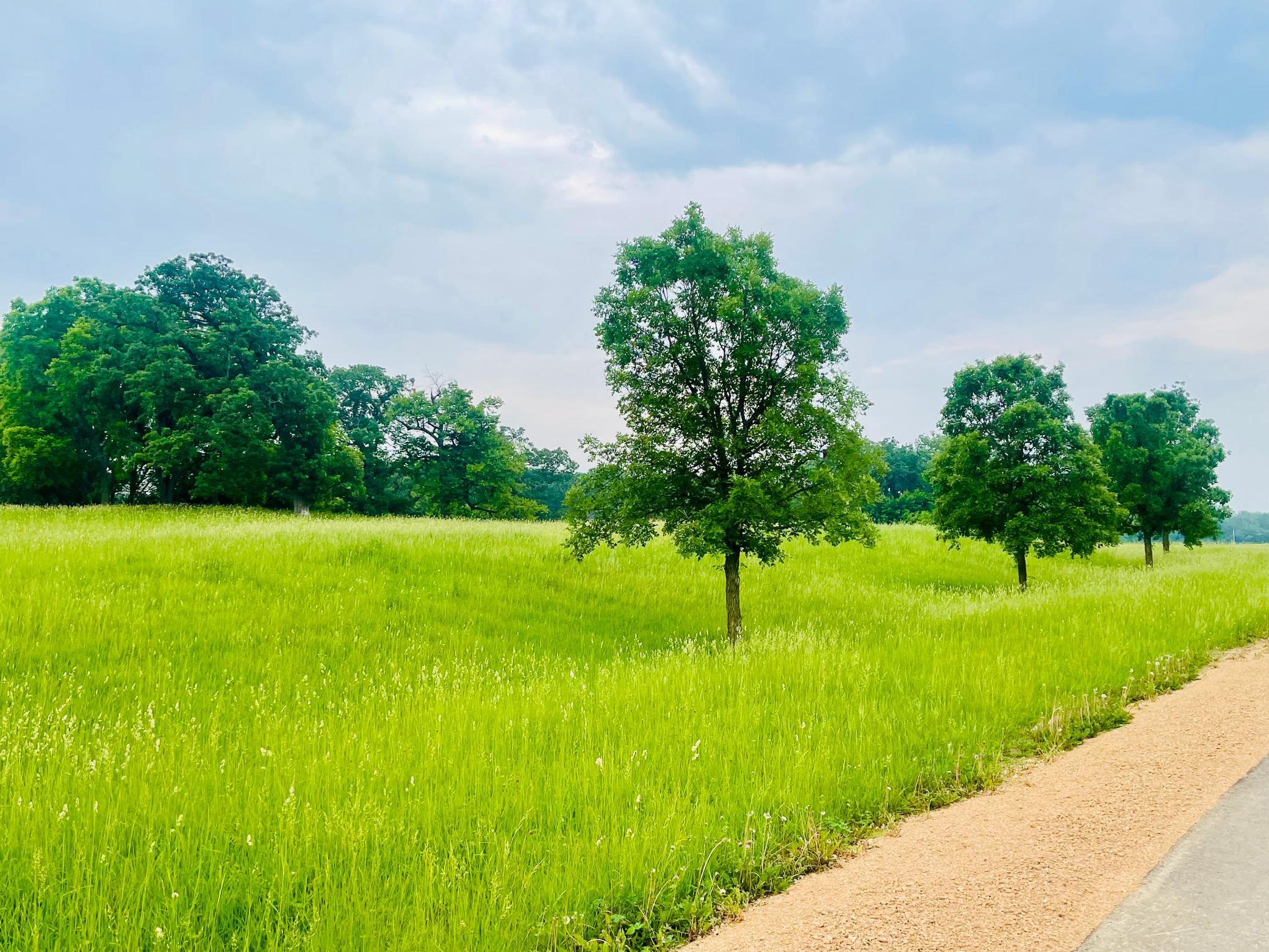 17455 Oak Hills Lane