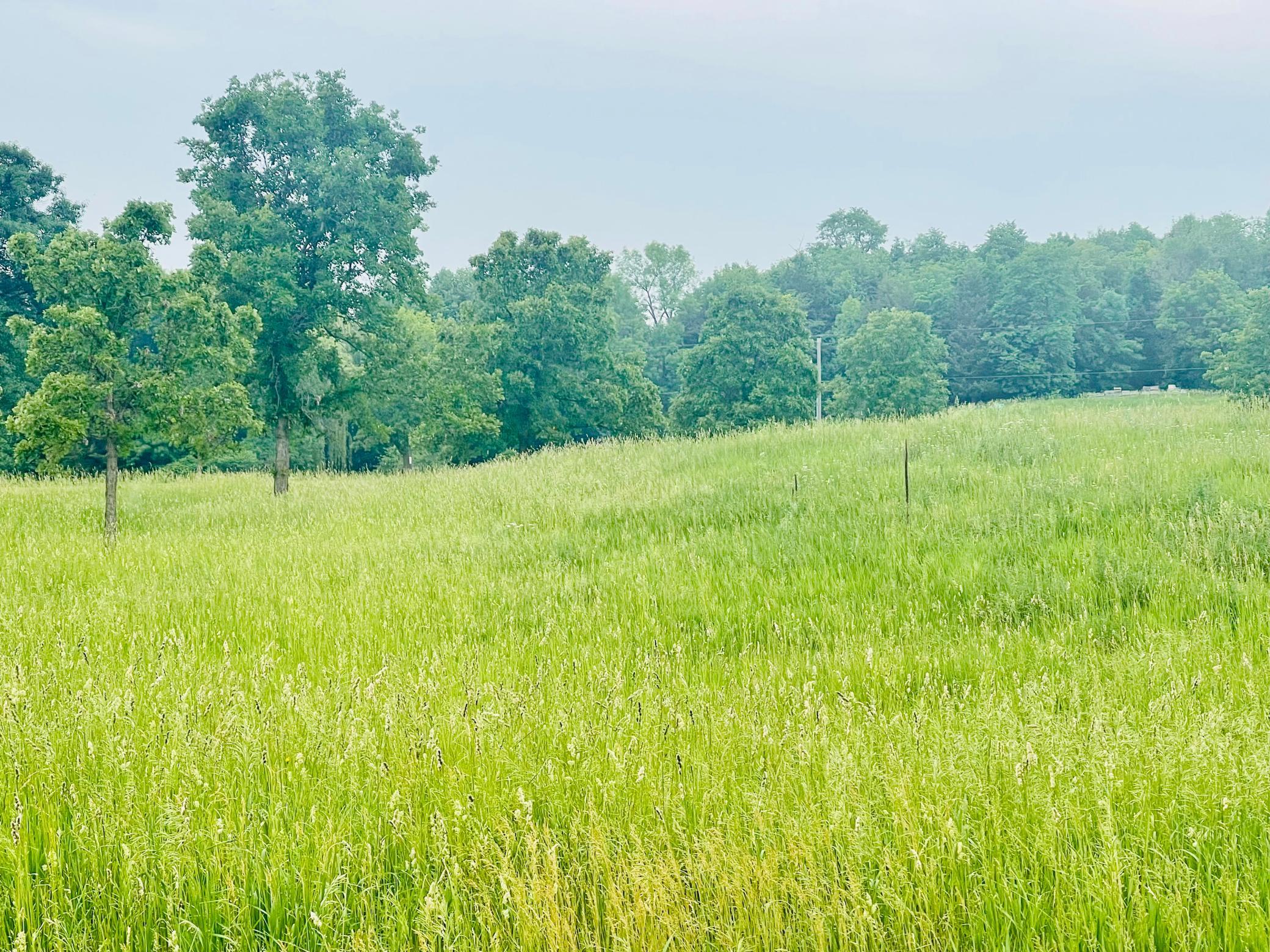 17455 Oak Hills Lane