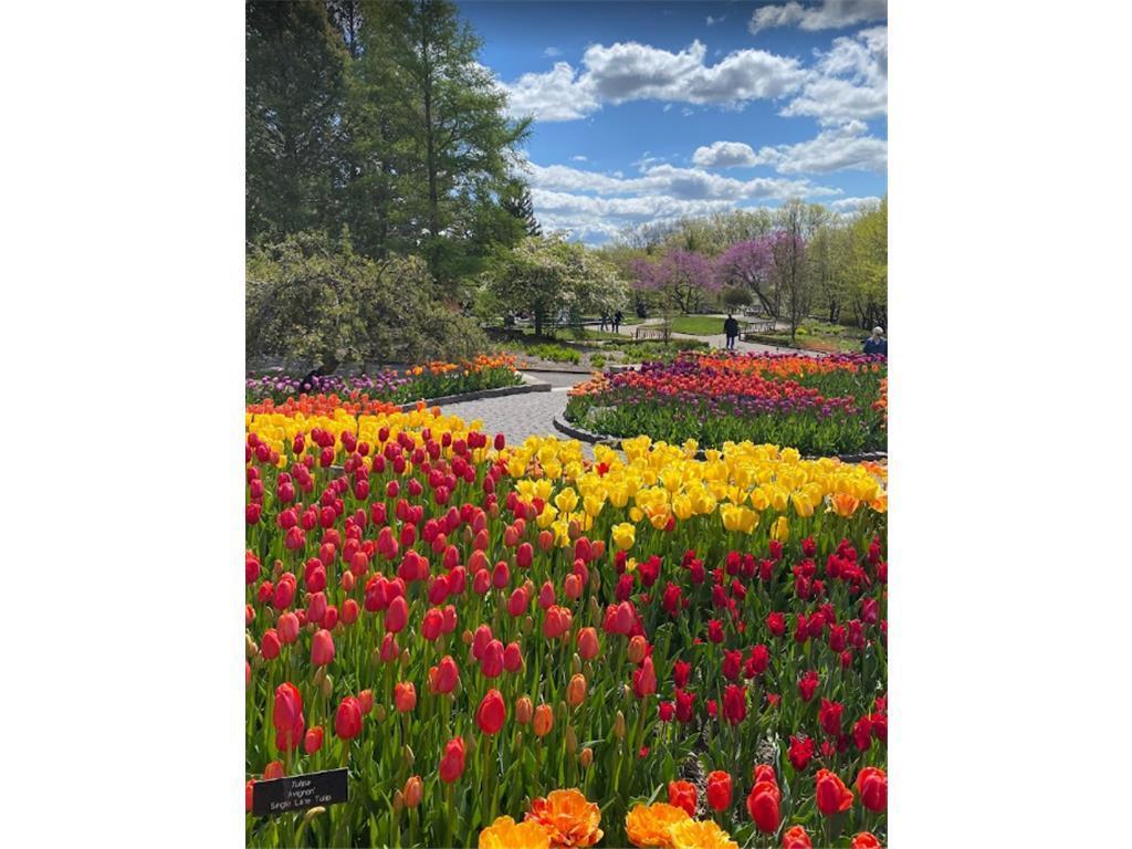 3776 Brookside Drive