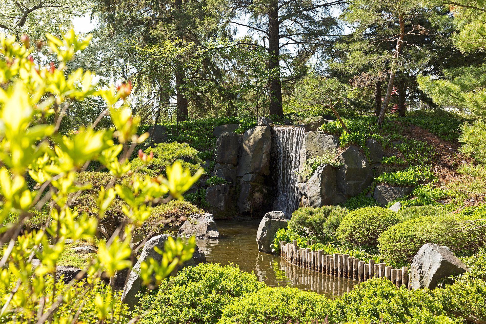 3861 Lone Cedar Lane