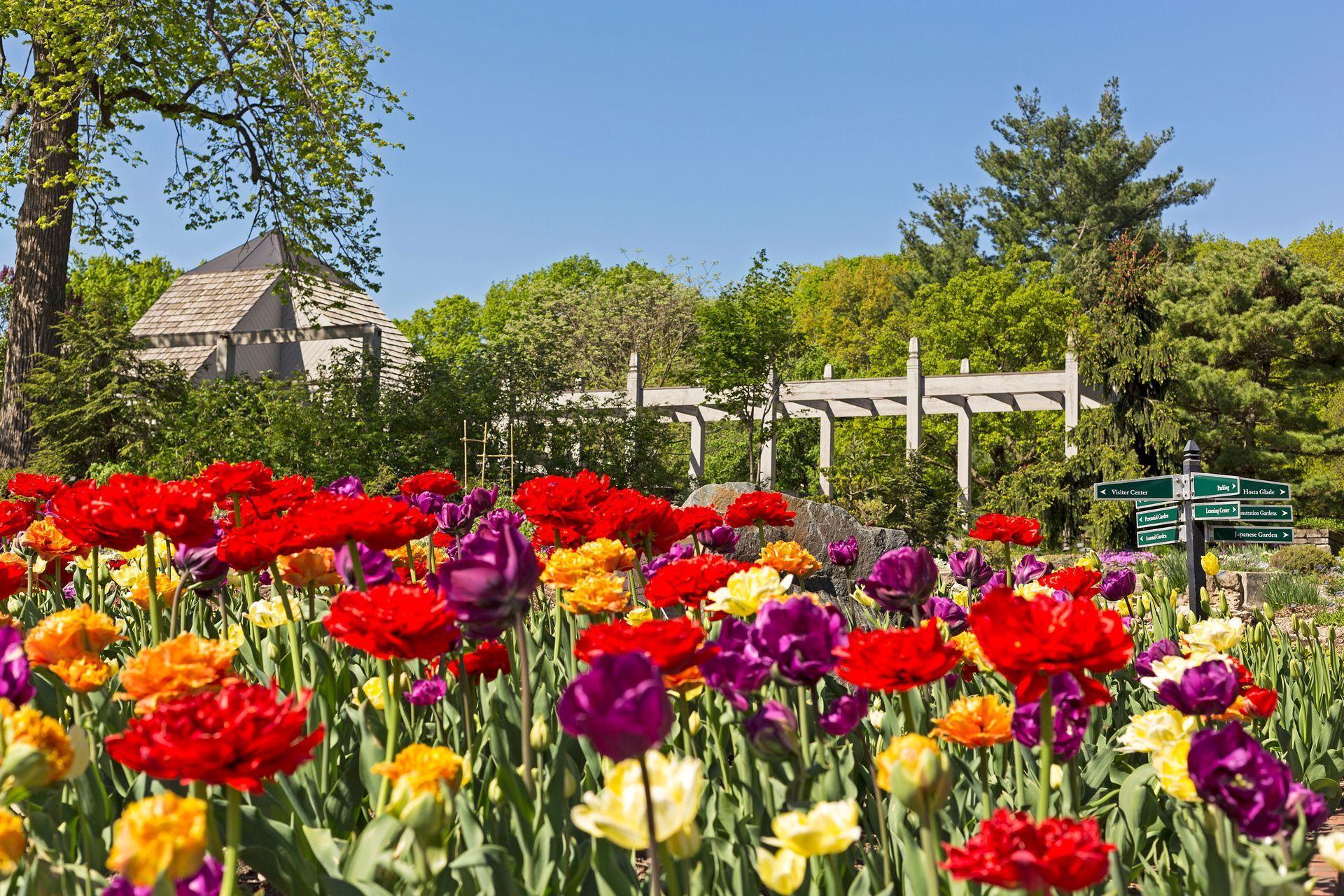 3861 Lone Cedar Lane