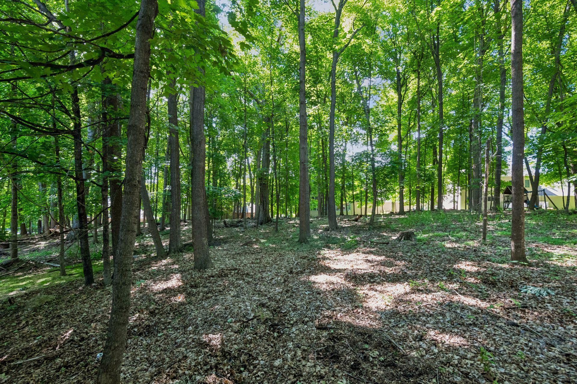 2109 Stone Creek Drive