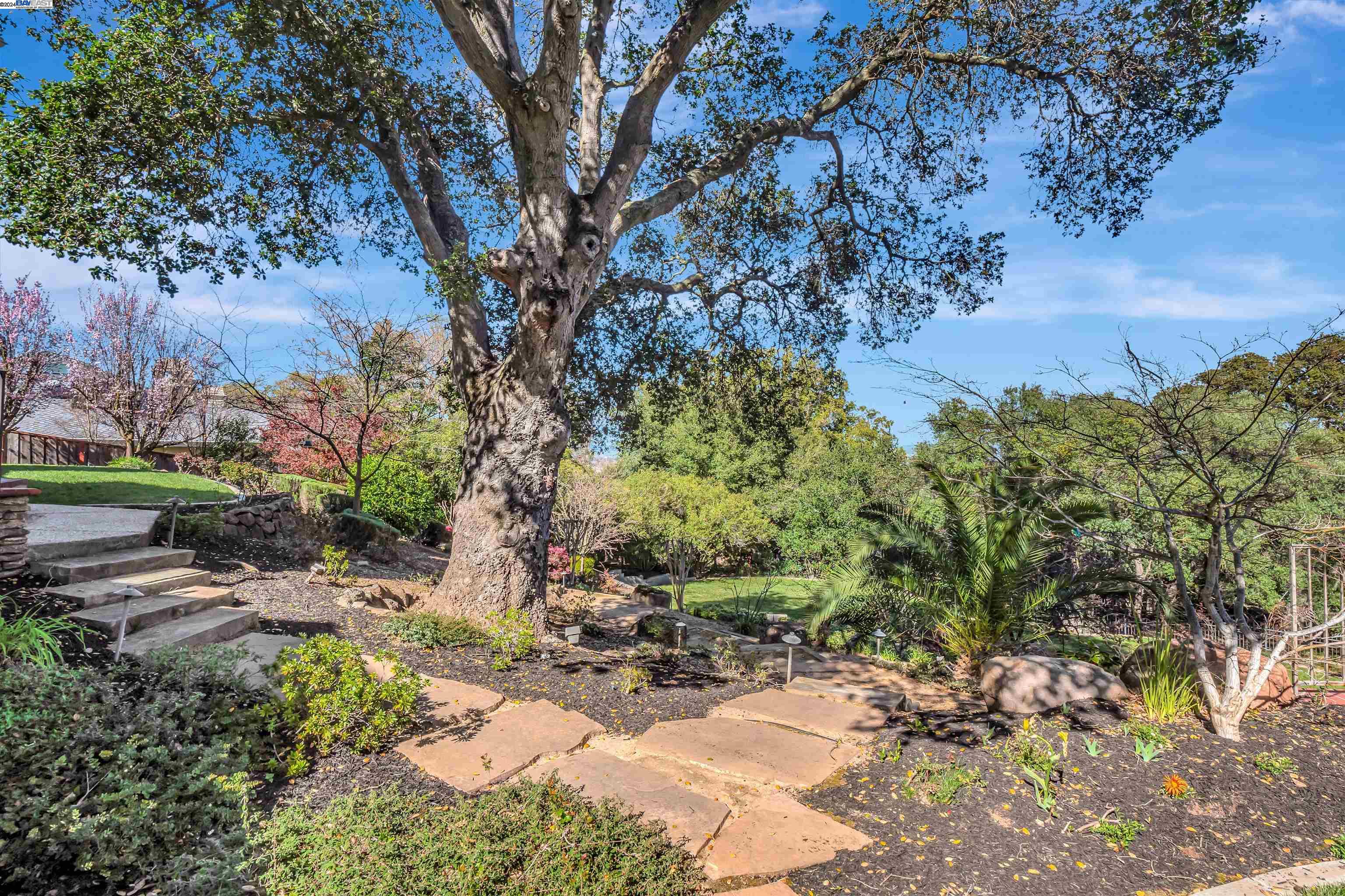 1920 Buckeye Ct