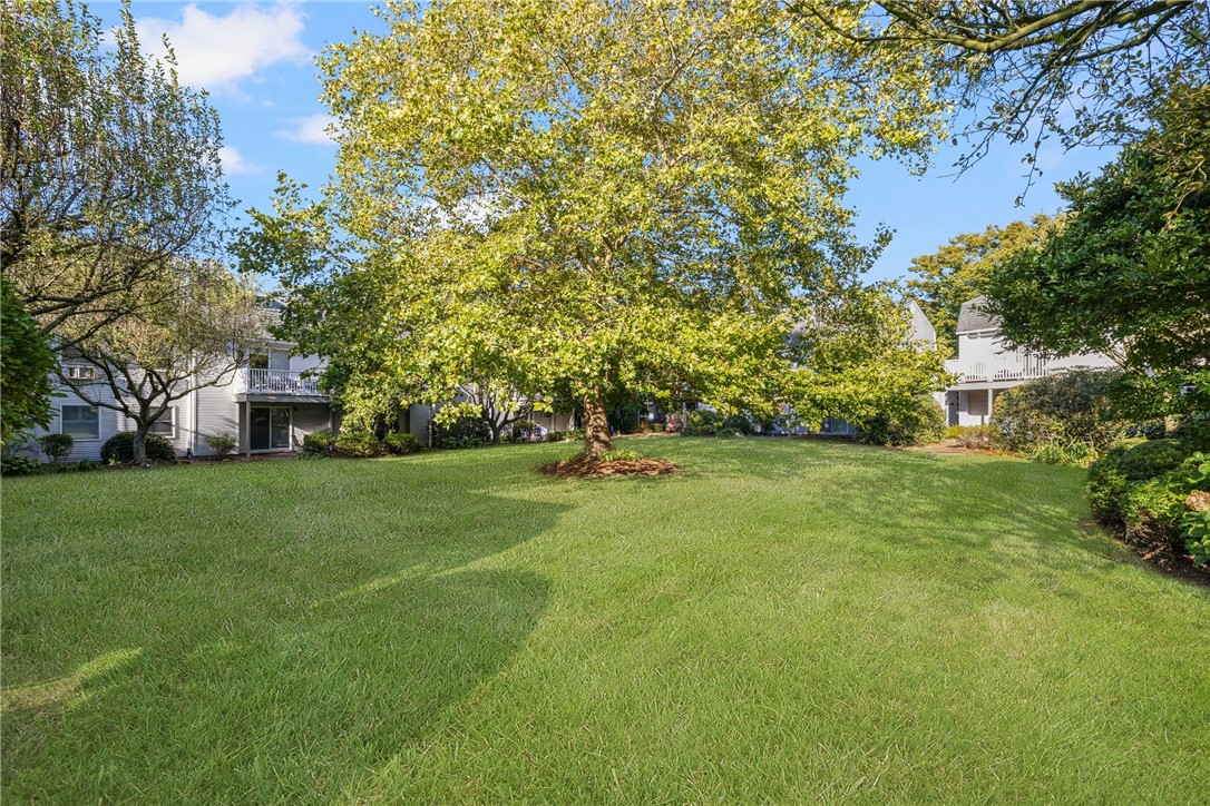 364 Bellevue Avenue A1