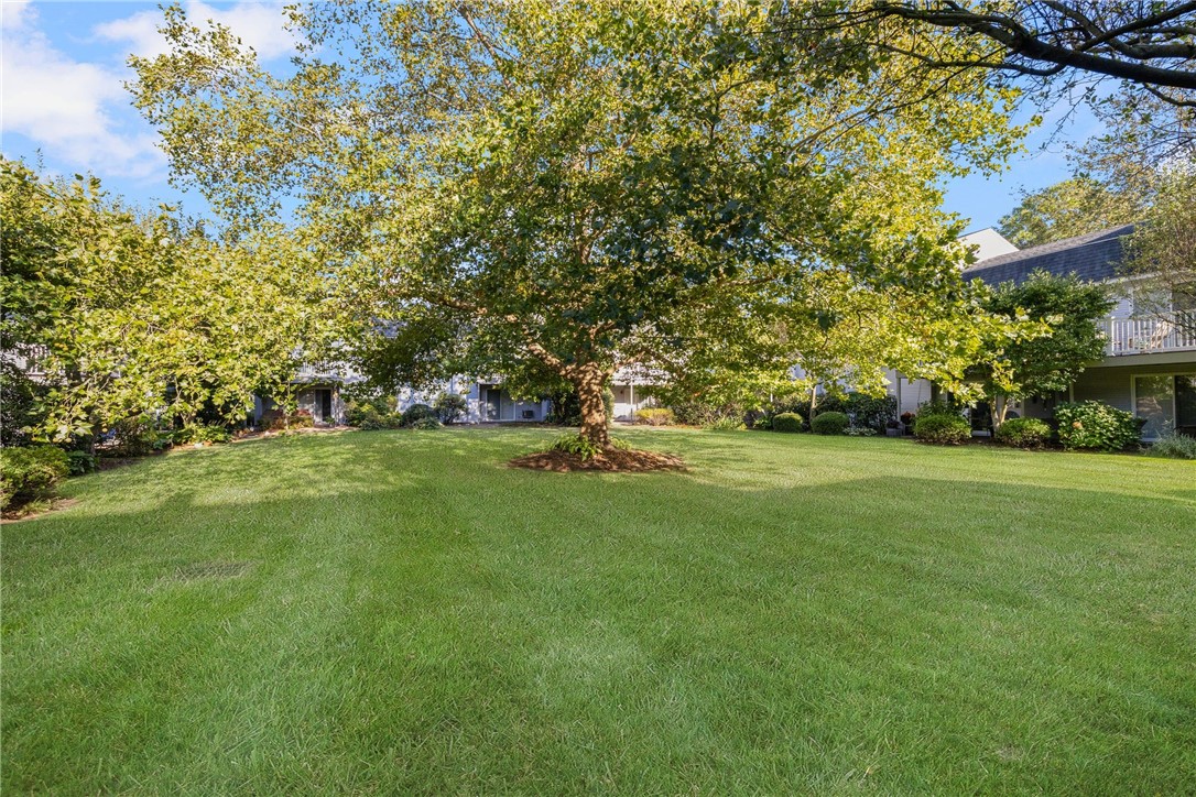 364 Bellevue Avenue A1