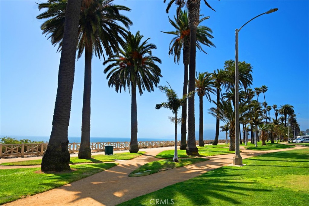 101 California Avenue 905