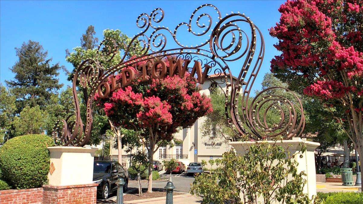 182 Cuesta De Los Gatos