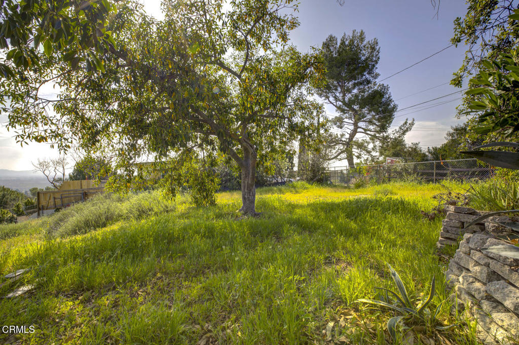 12016 Mountain View Trail