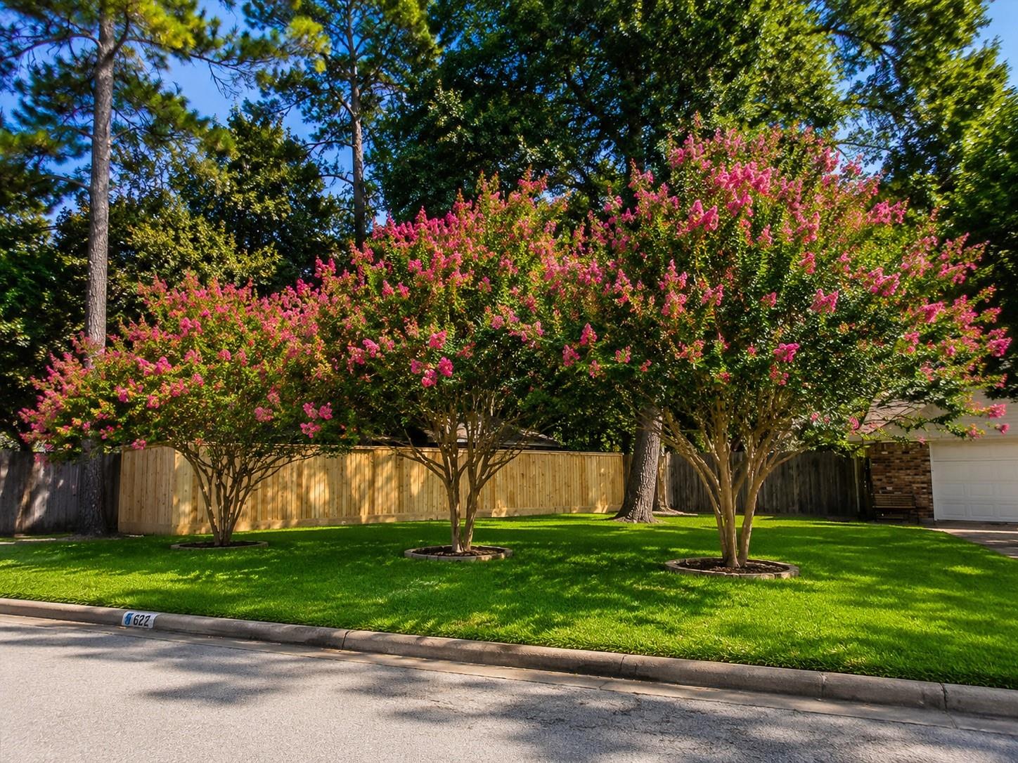 823 Saint George Lane