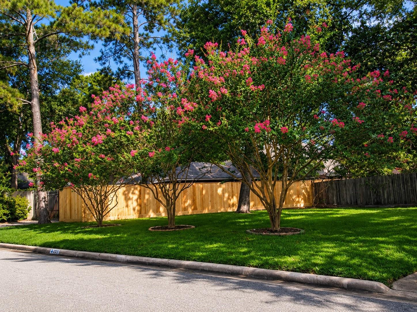 823 Saint George Lane
