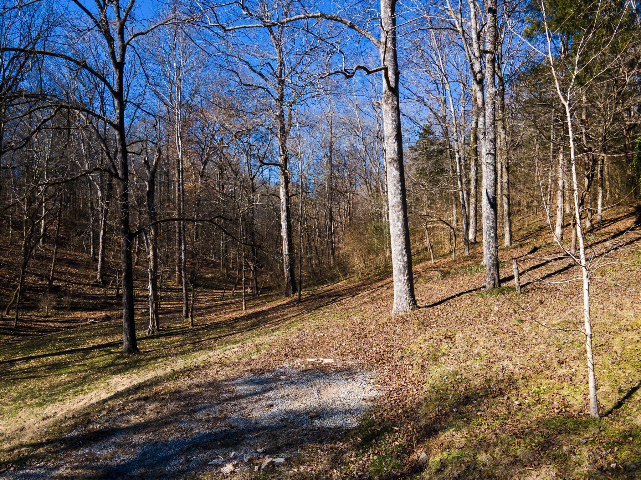 8124 Charlotte Pike