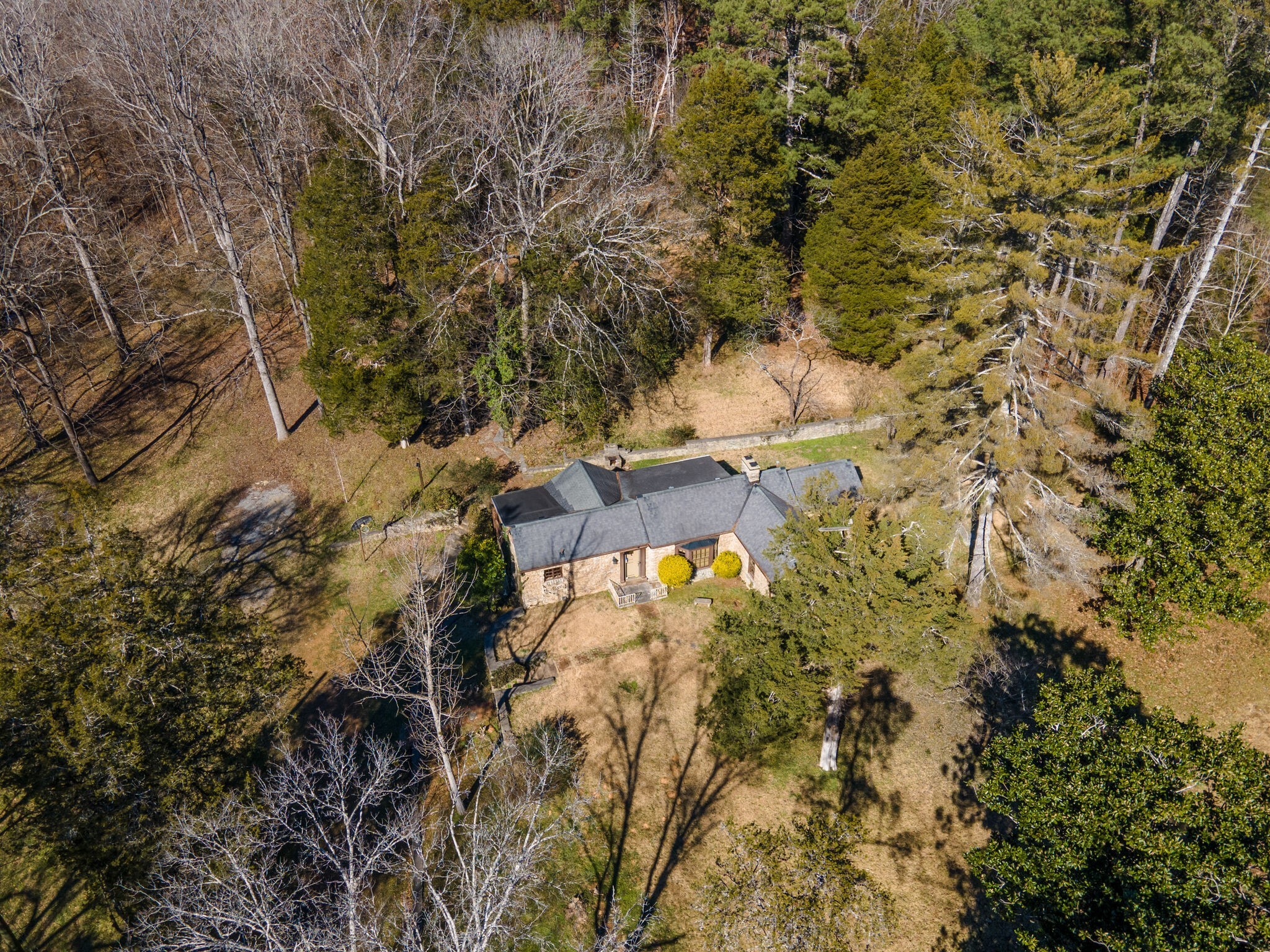 8124 Charlotte Pike