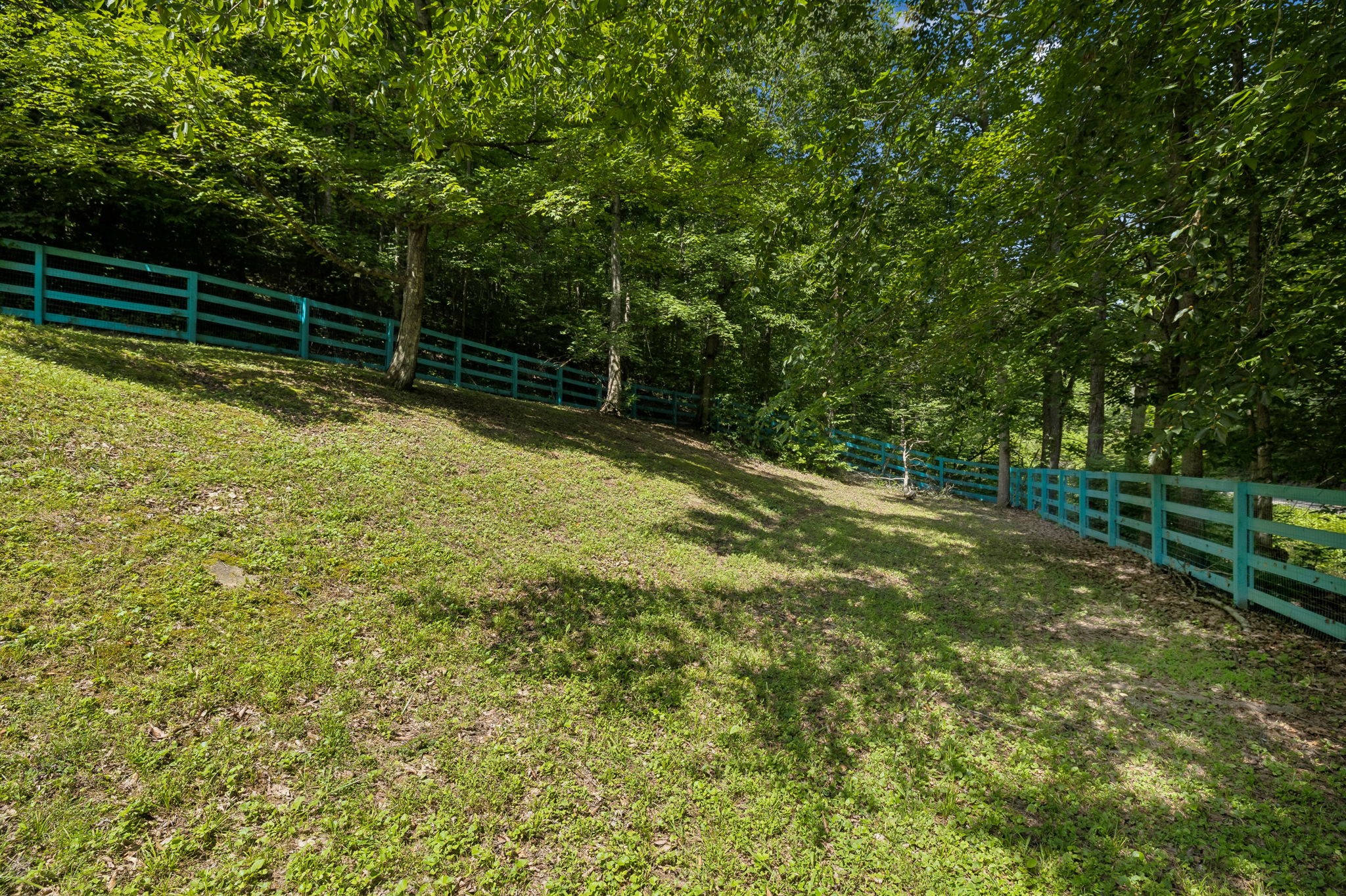 3755 Bear Hollow Rd