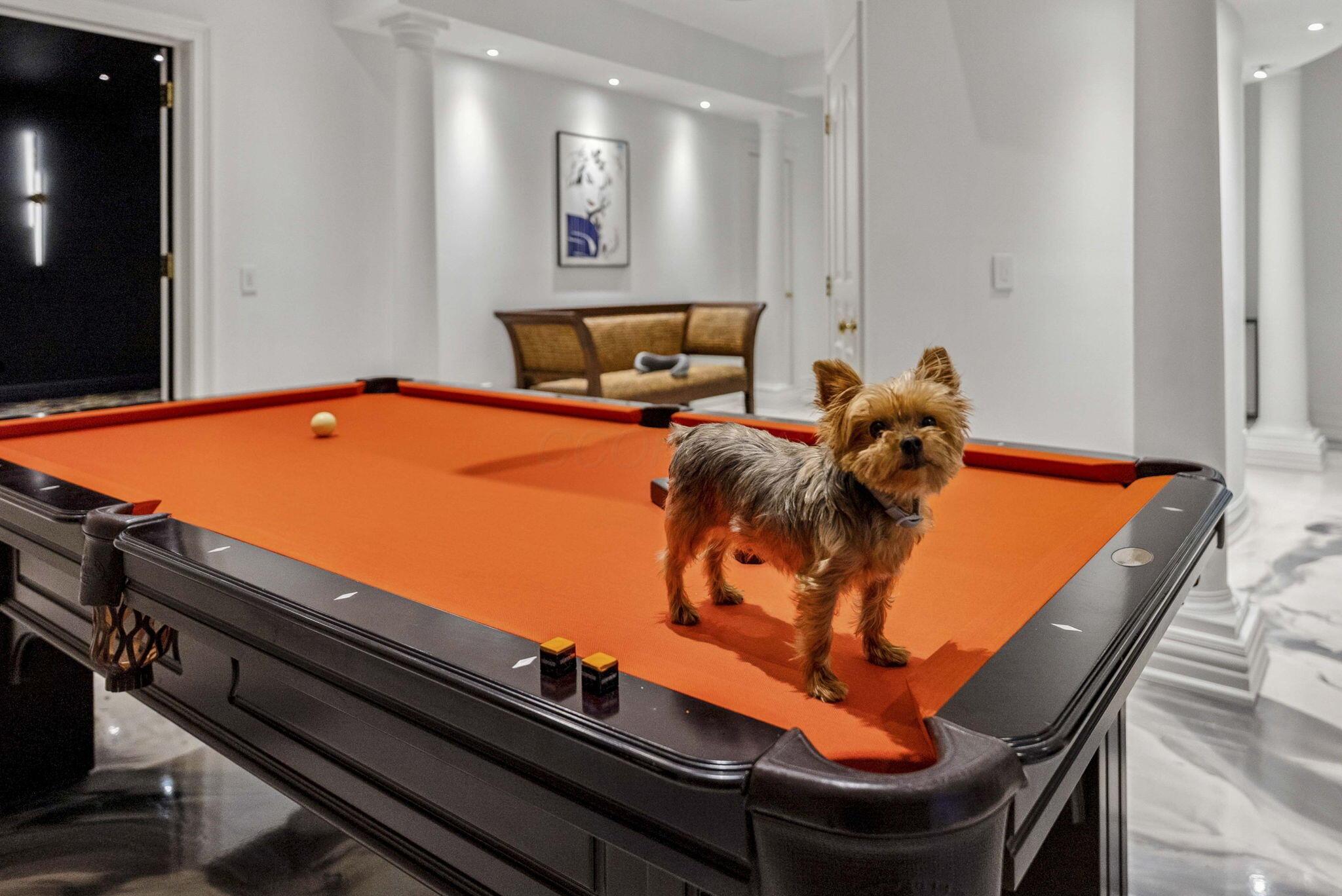 1 Bottomley Crescent