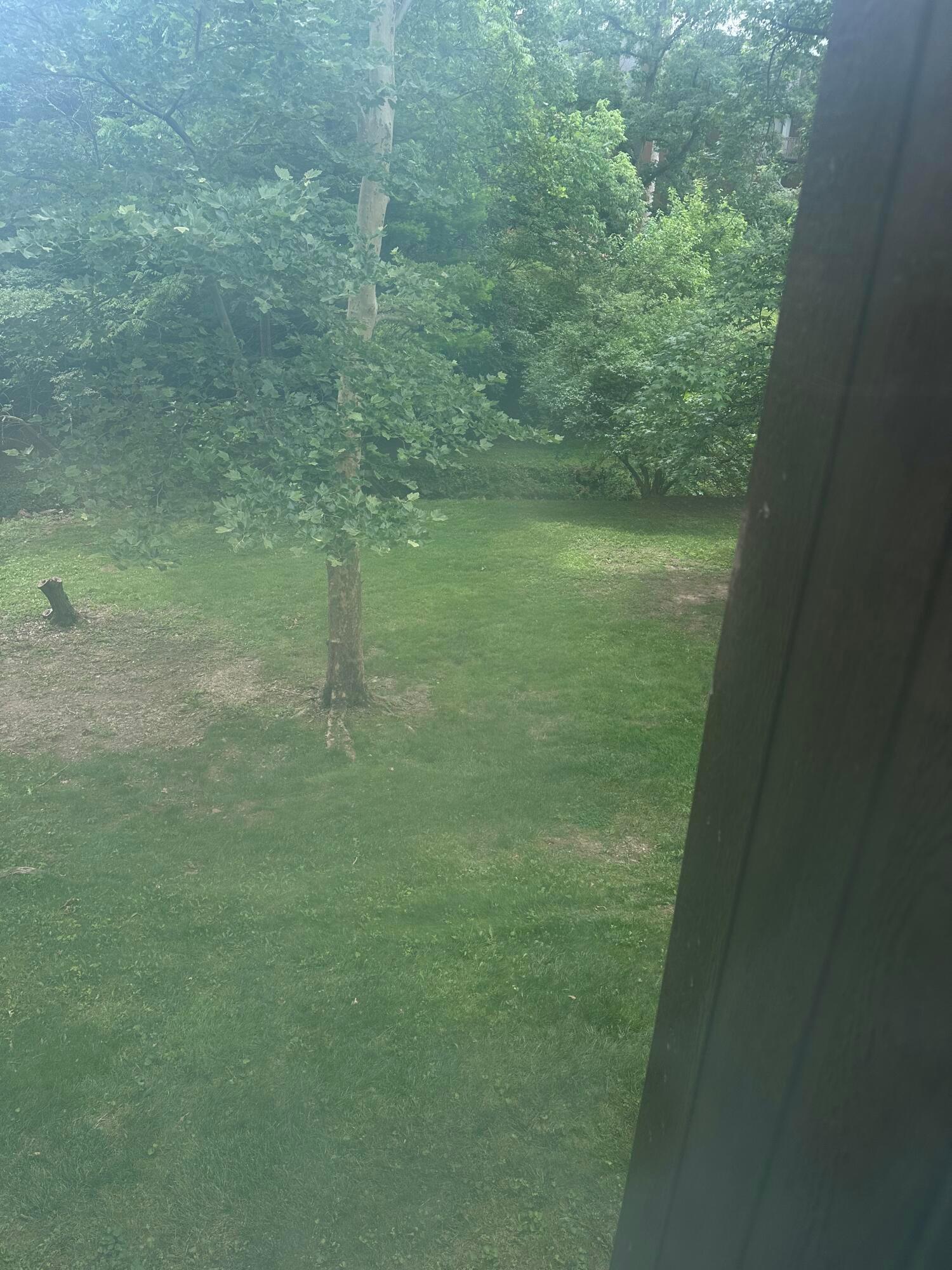 4845 Smoketalk Lane, 7