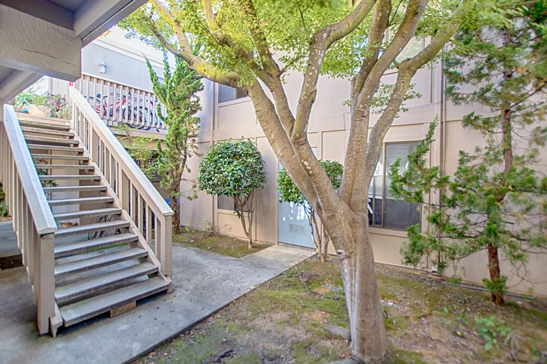 369 Sea Ridge RD
