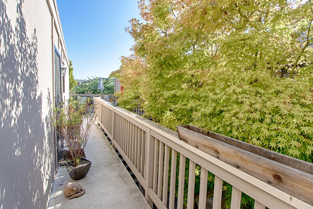 369 Sea Ridge RD