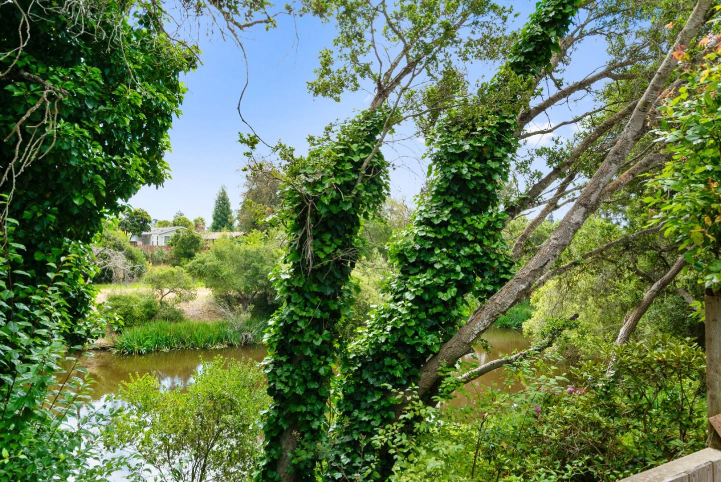 789 Green Valley Rd #133