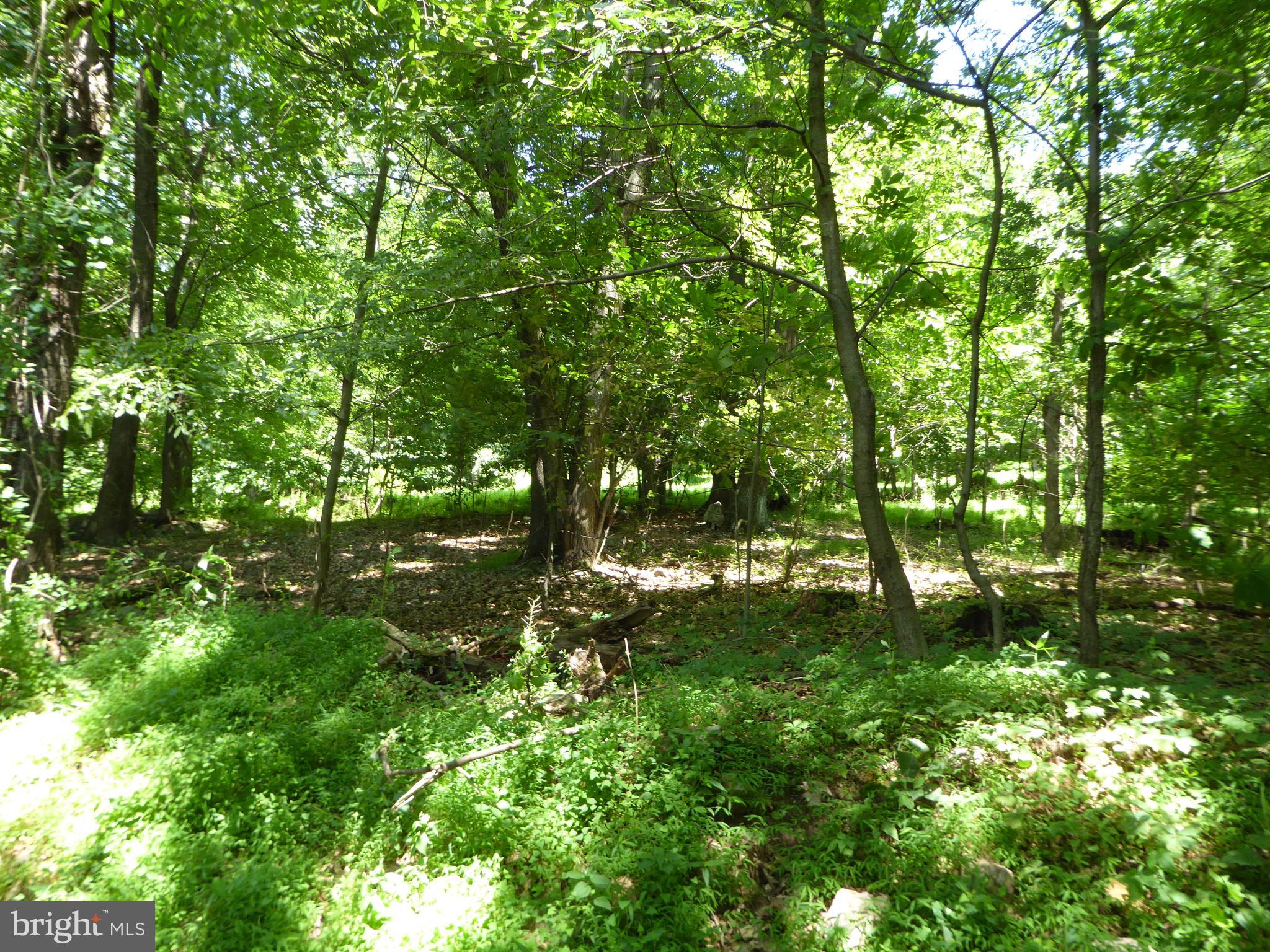 Lots #14 and #15 TRAIL LANE