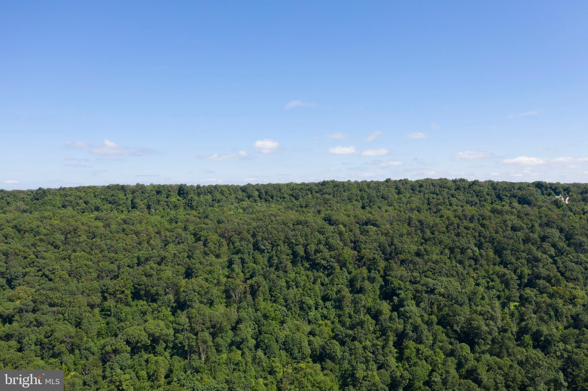 Lots #14 and #15 TRAIL LANE