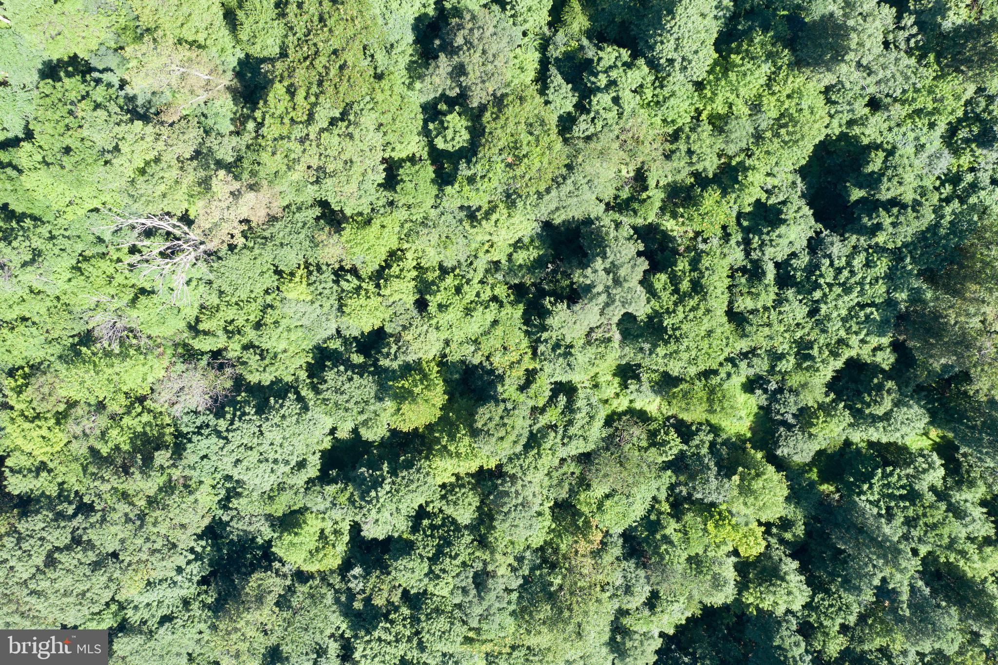 Lots #14 and #15 TRAIL LANE