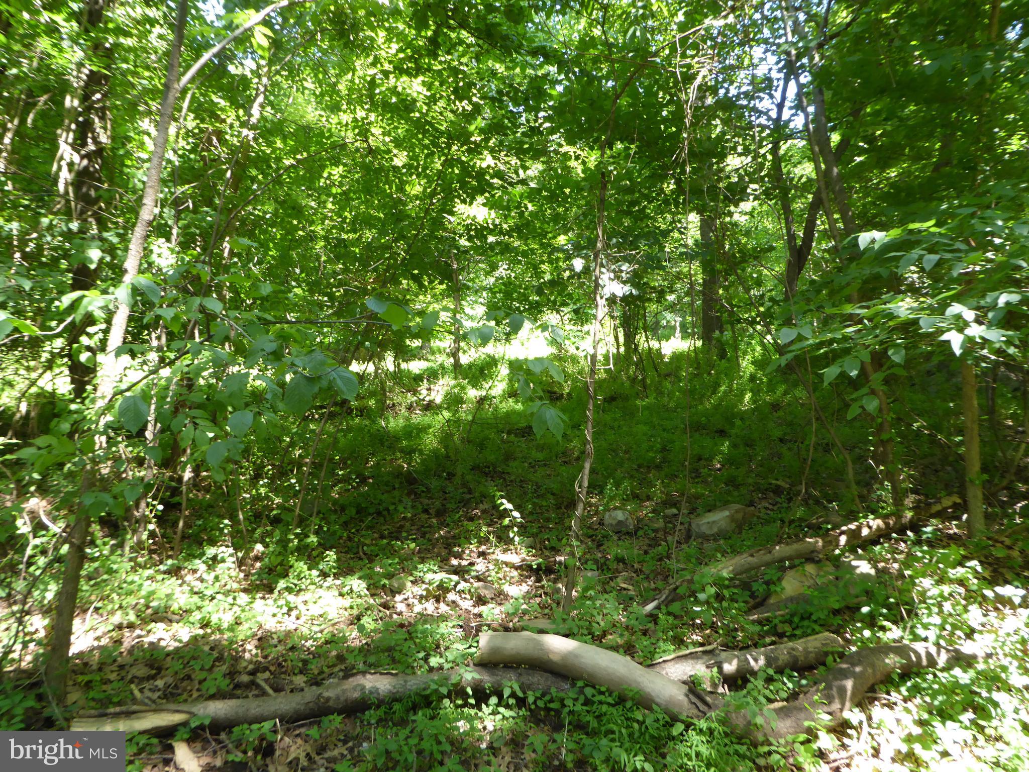 Lots #14 and #15 TRAIL LANE