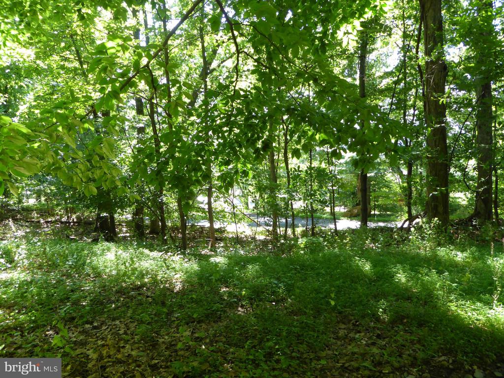 Lots #14 and #15 TRAIL LANE