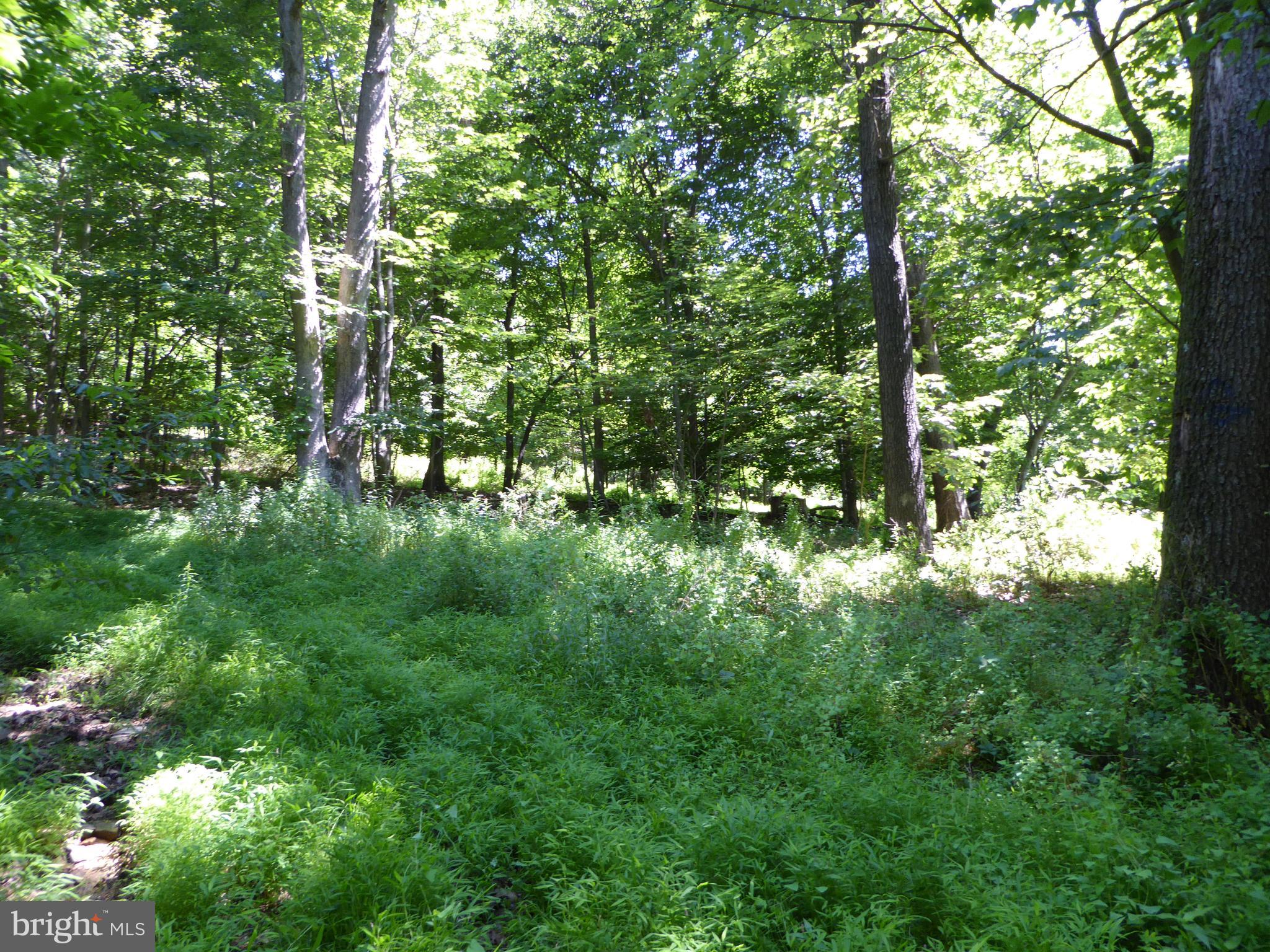 Lots #14 and #15 TRAIL LANE